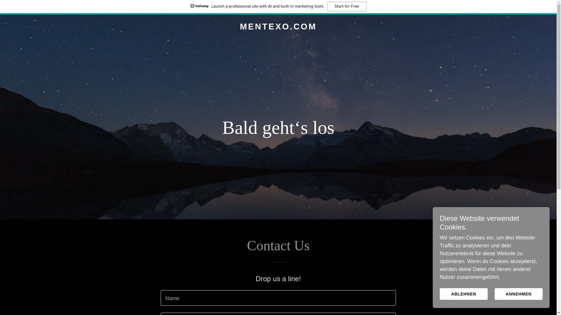 website screenshot of https://mentexo.com/