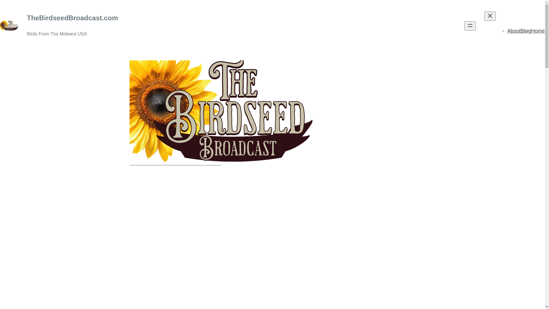 website screenshot of https://thebirdseedbroadcast.com/