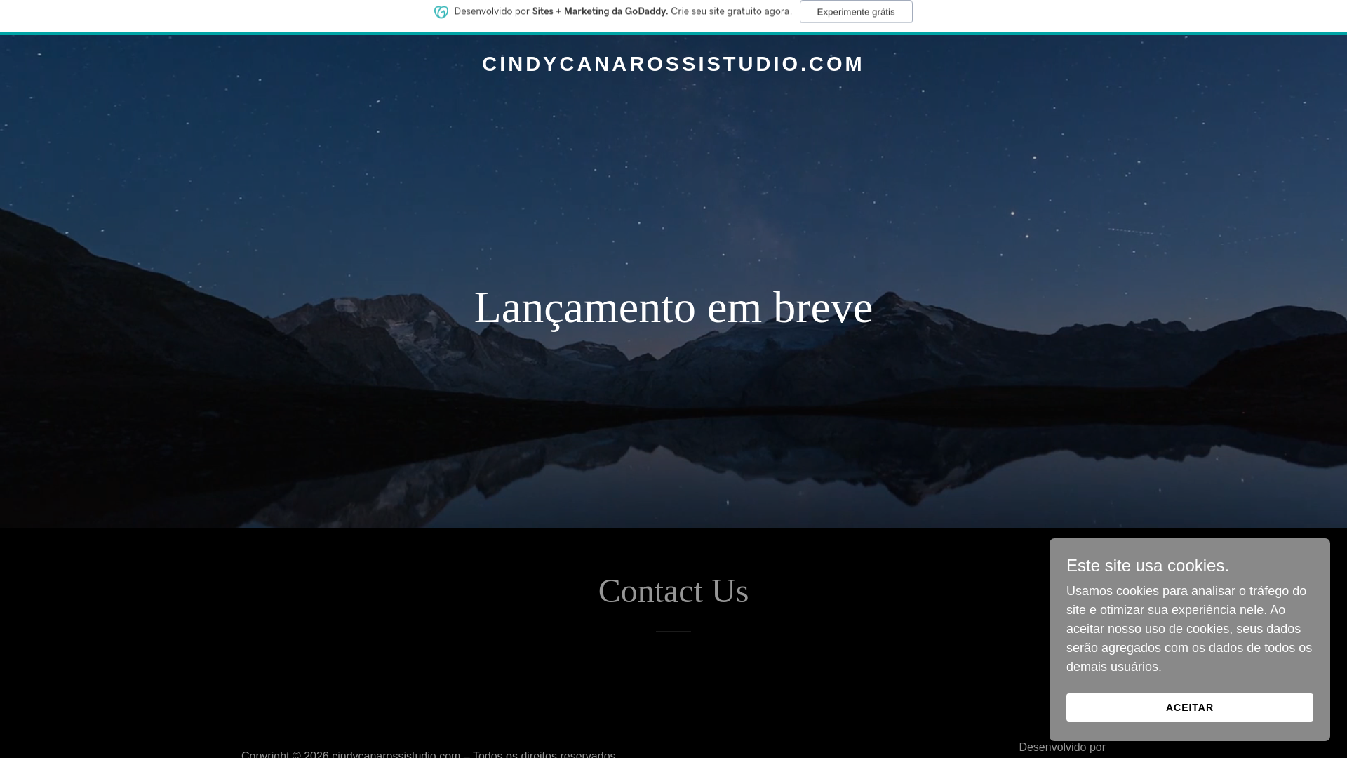 website screenshot of https://cindycanarossistudio.com/