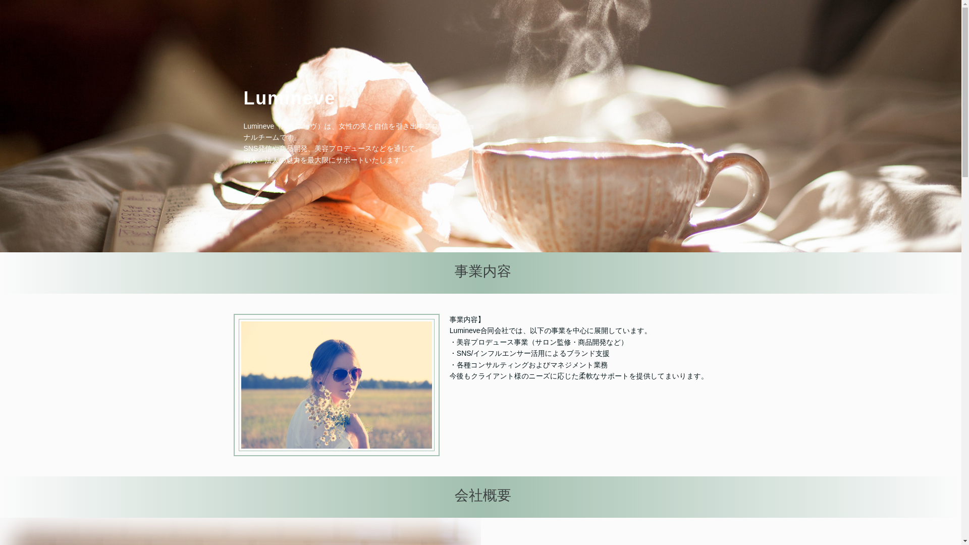 website screenshot of https://lumineve-nyx.com/