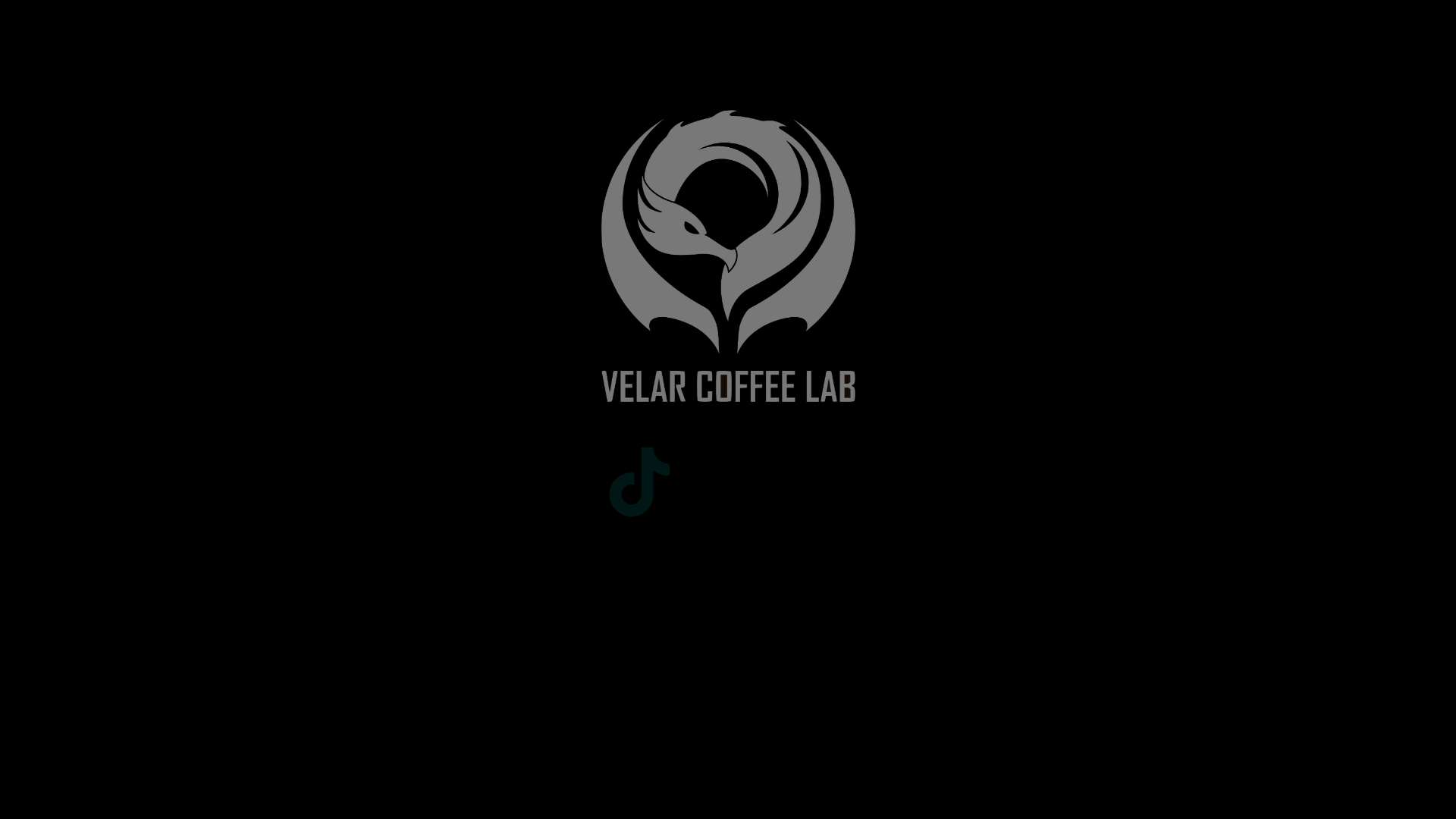 website screenshot of https://velarcoffeelab.com/