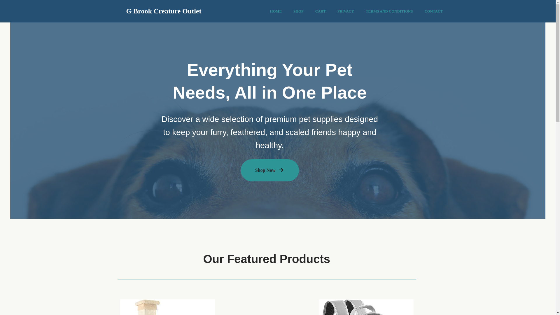 website screenshot of https://midconnectv242-765.pages.dev/
