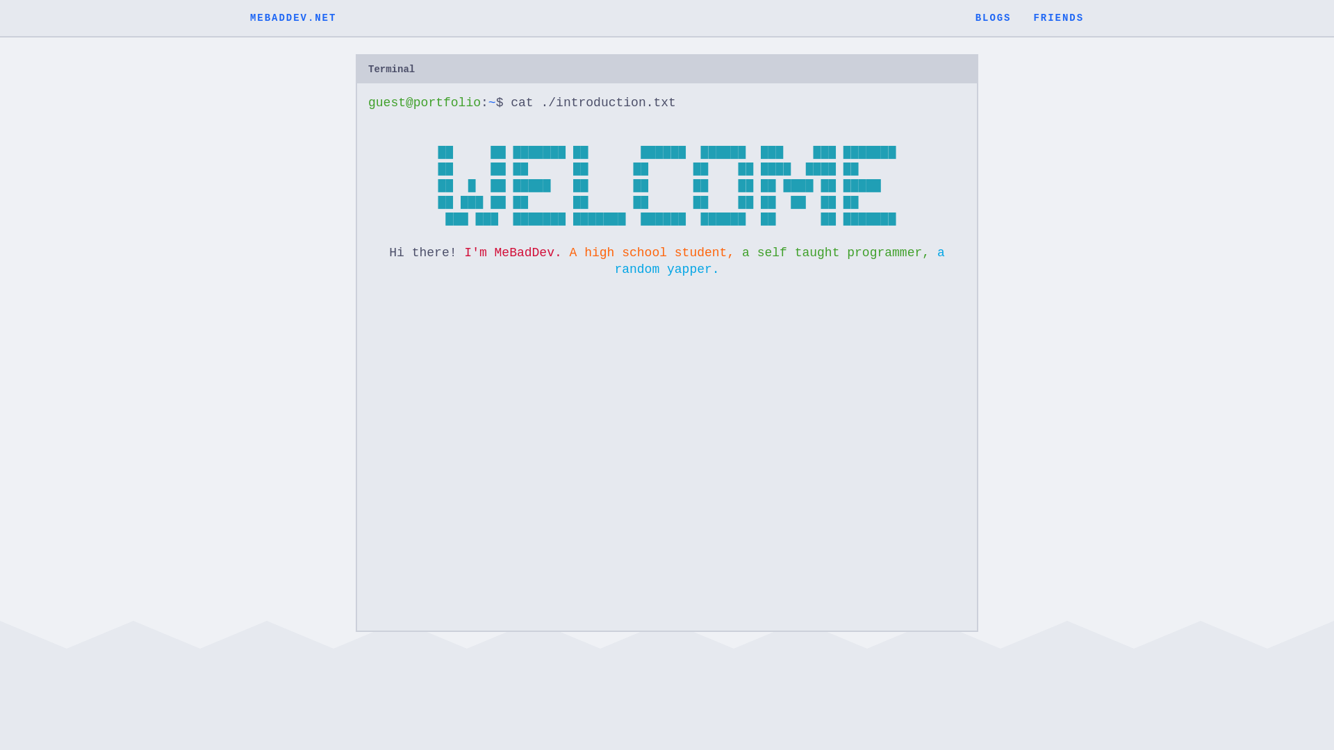 website screenshot of https://mebaddev-net.pages.dev/