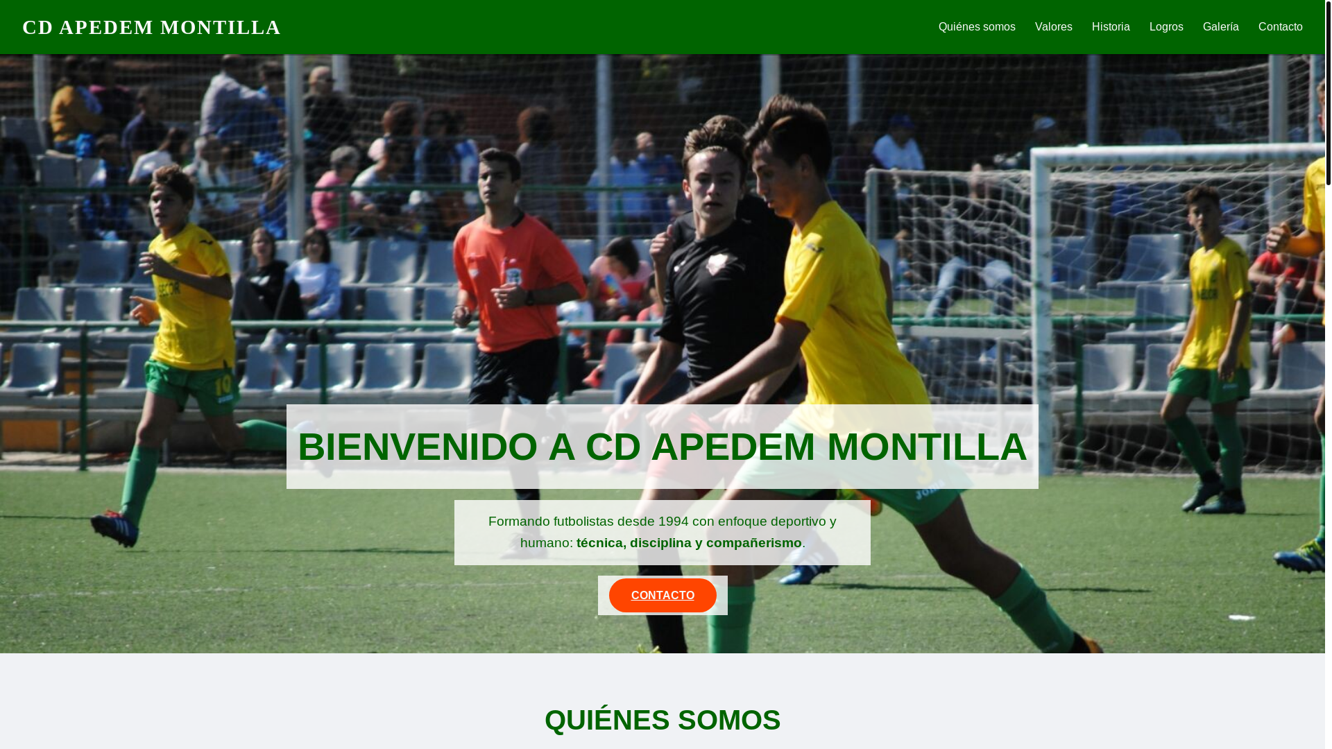 website screenshot of https://apedem.com/