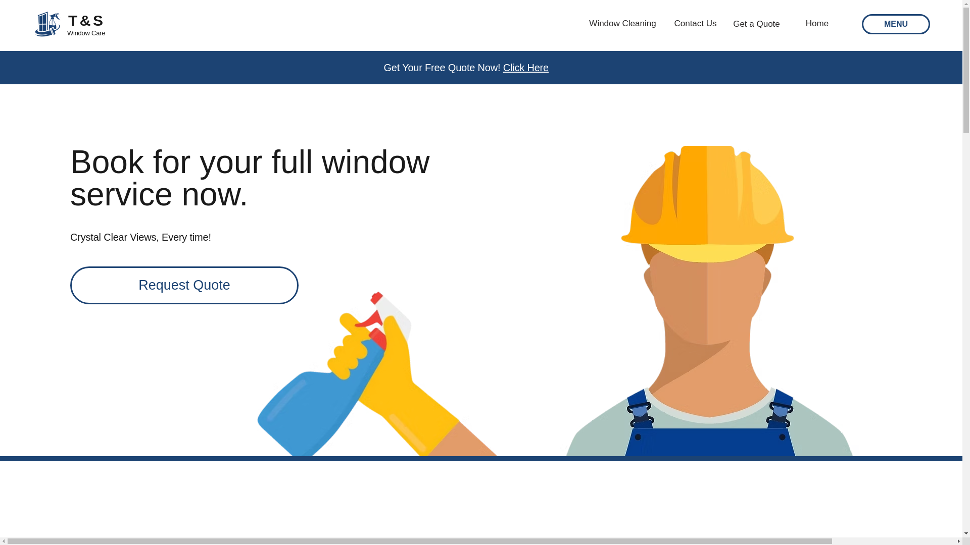 website screenshot of https://tandswindowcare.com/