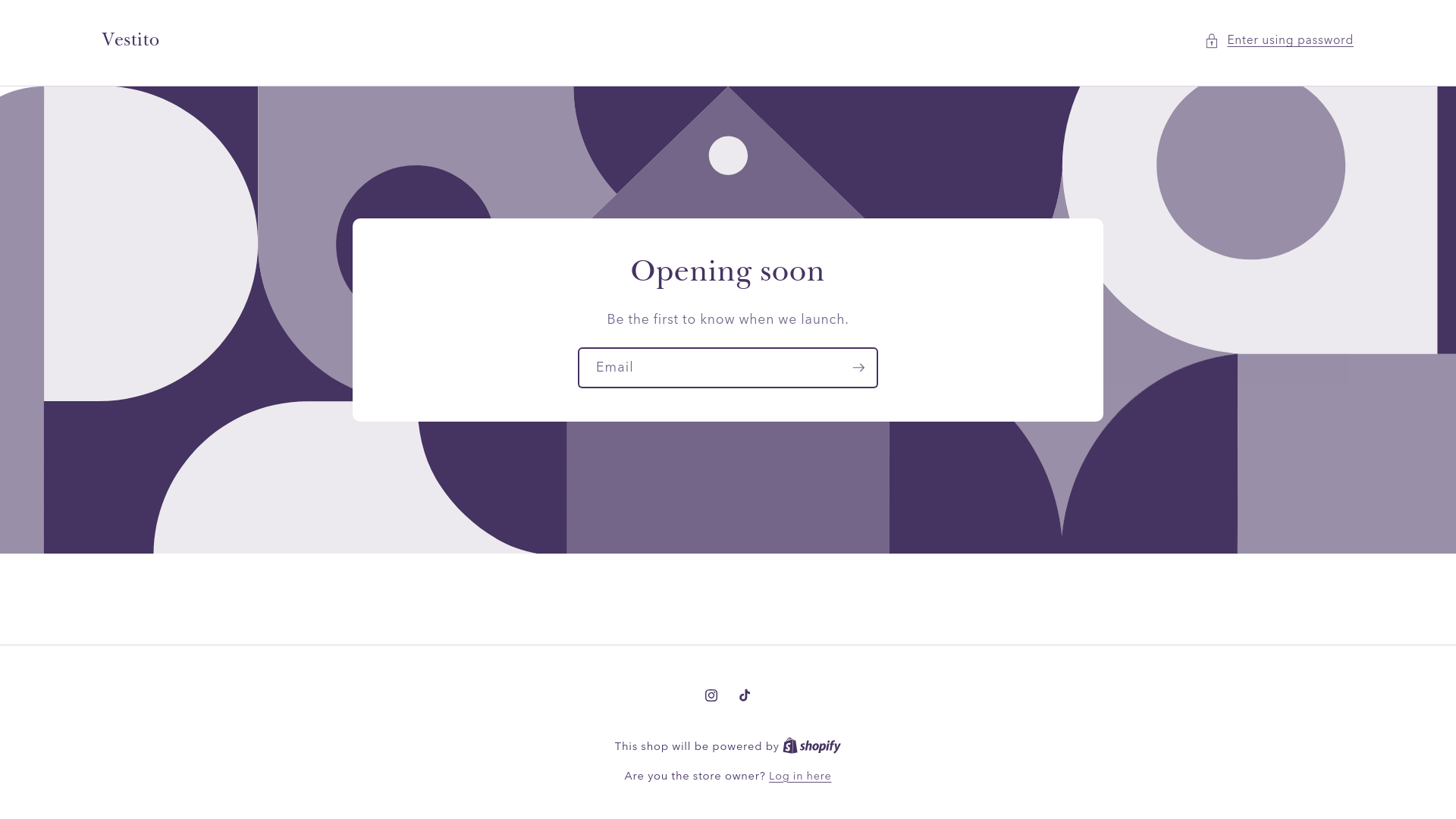 website screenshot of https://vestito.fr/
