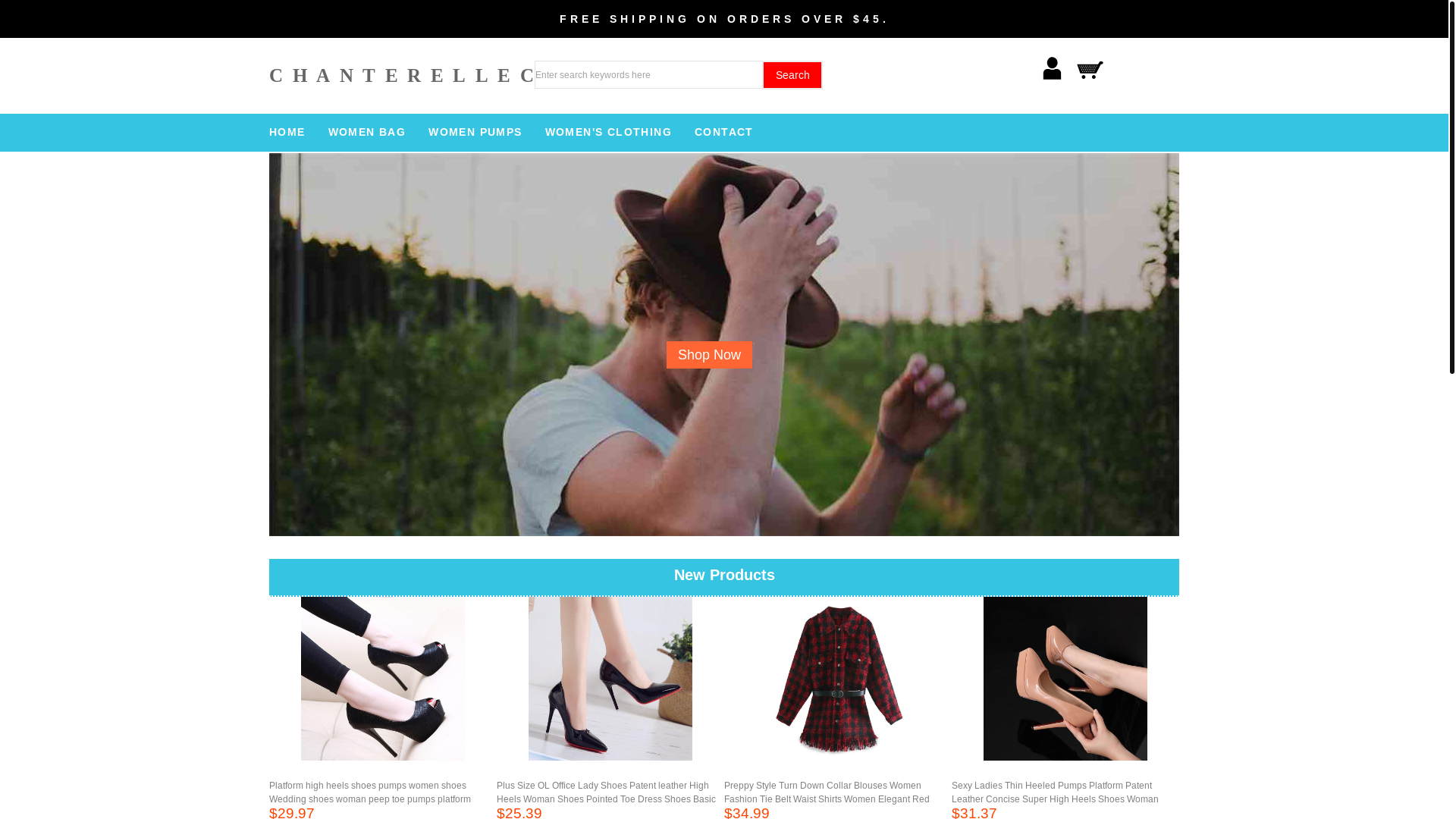 website screenshot of https://chanterellecove.top/