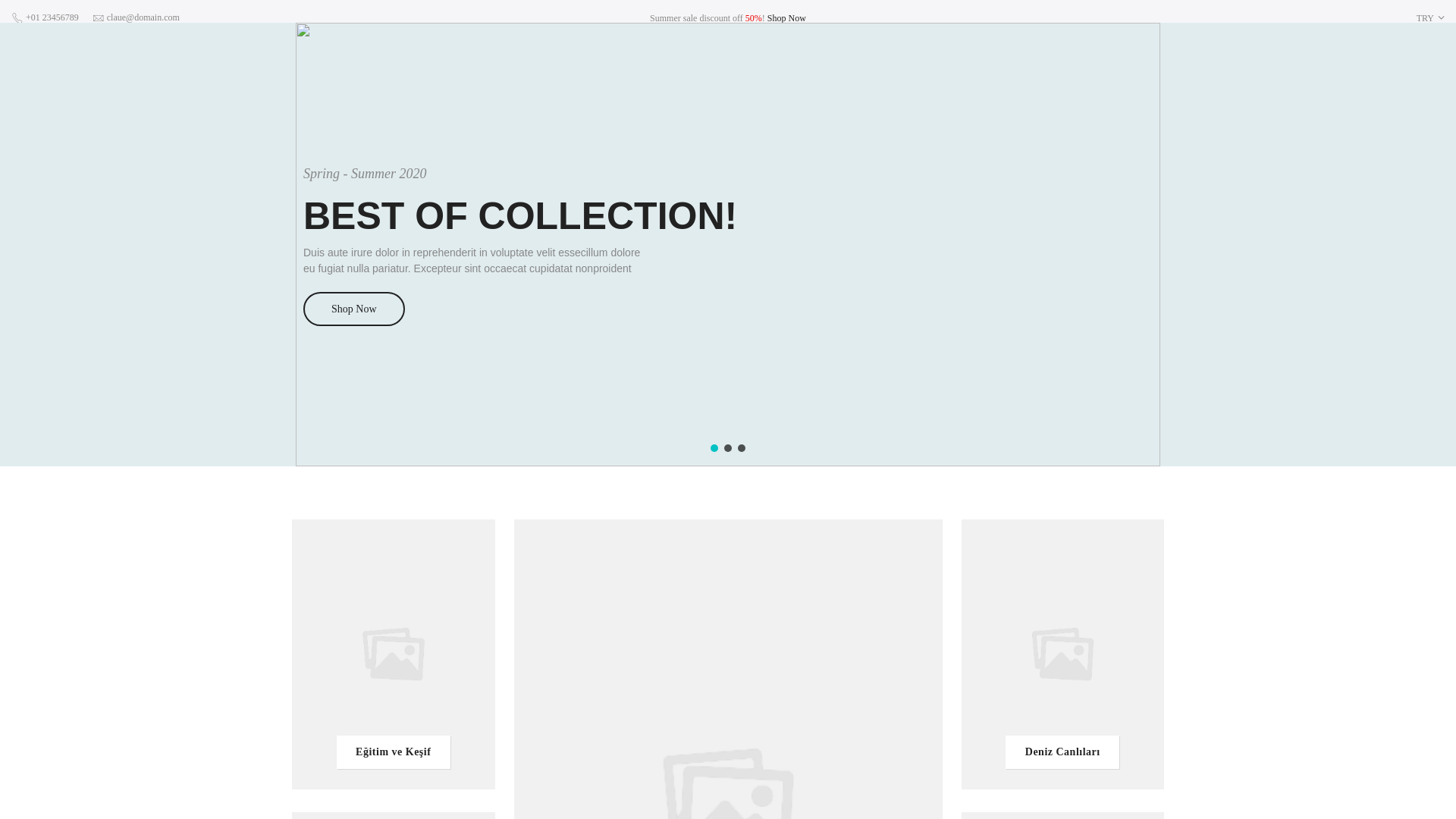 website screenshot of https://omnistore.tr