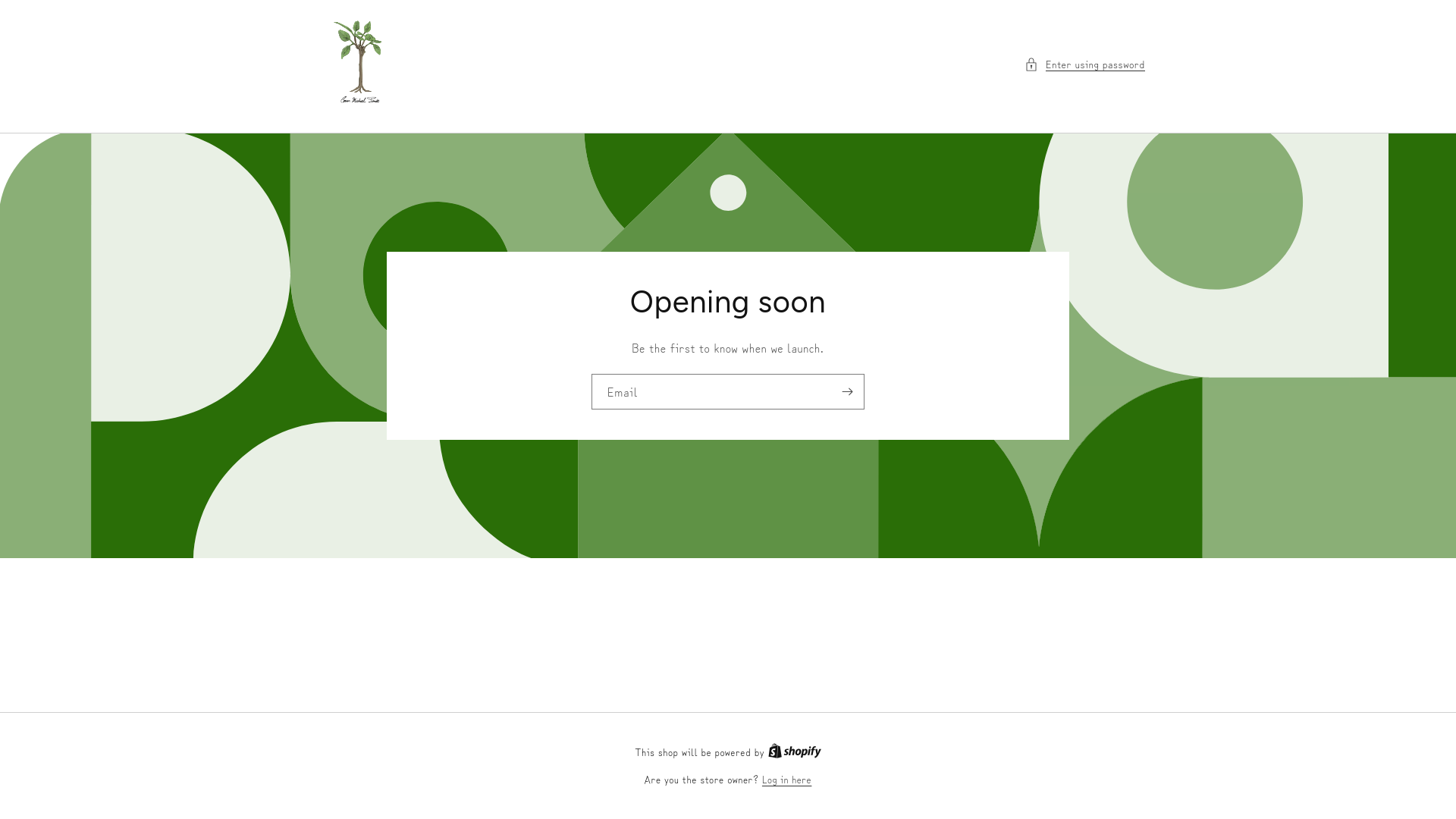 website screenshot of https://shopconormichaelsmith.com/