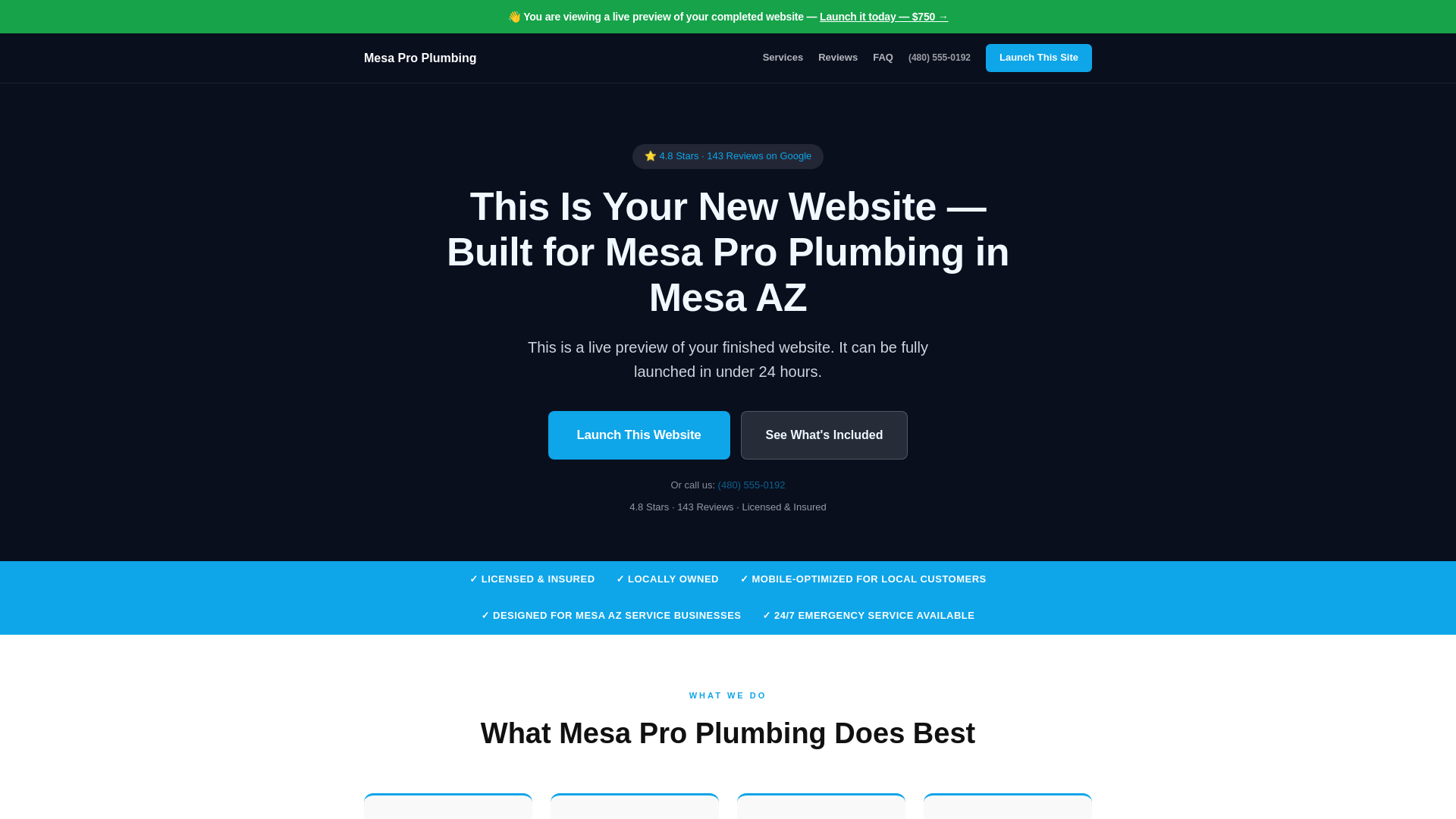 website screenshot of https://mesa-pro-plumbing-mopbwe25.pages.dev/