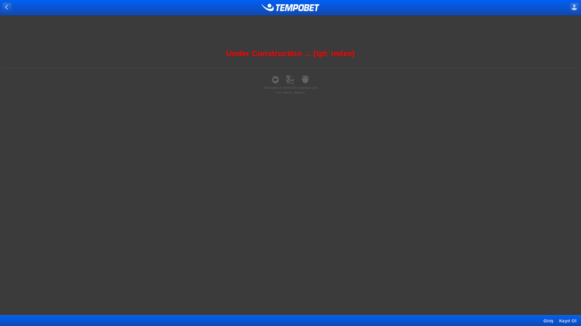 website screenshot of https://tempobet1160.com/