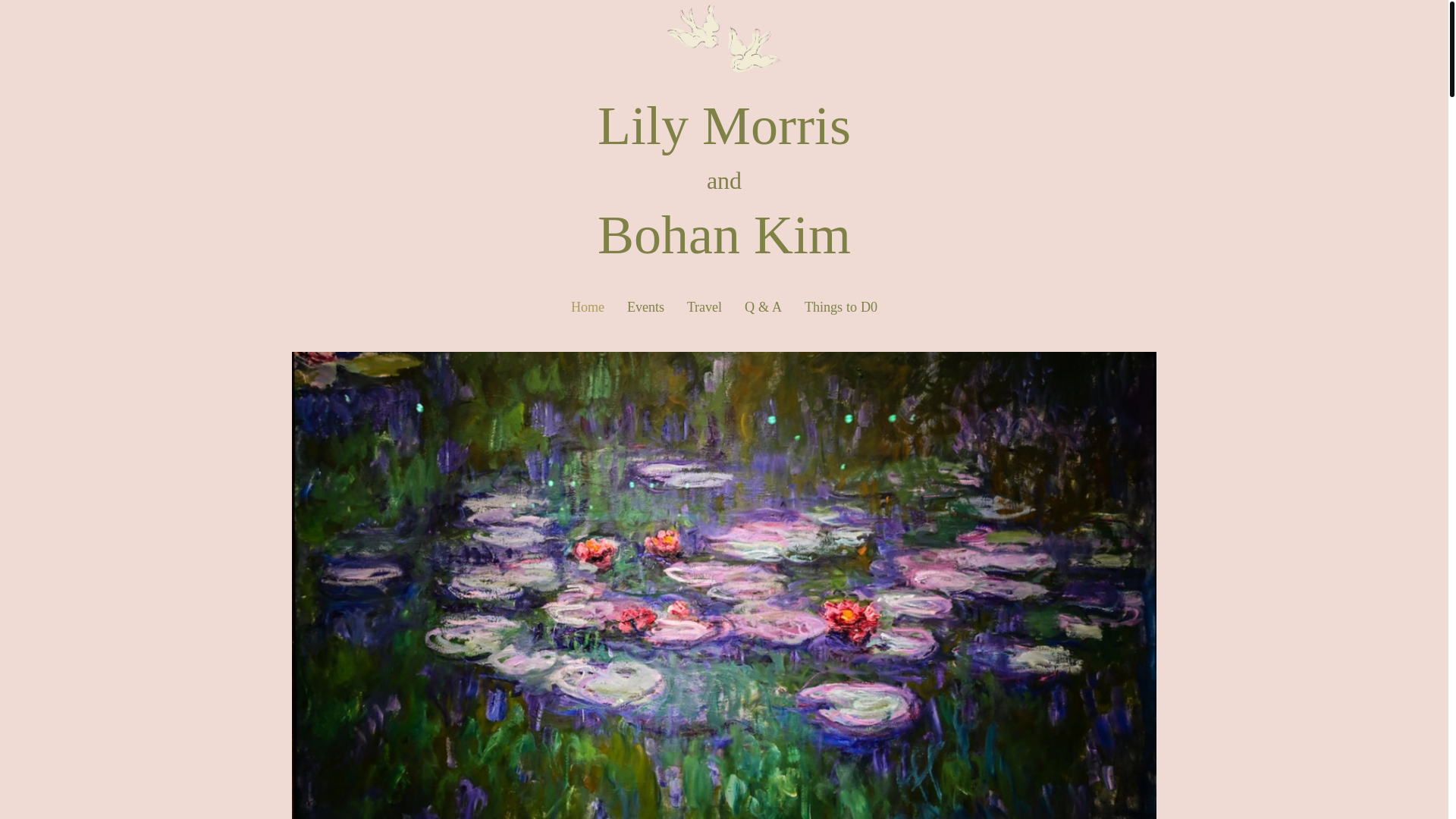 website screenshot of https://lilyandbohan.com/