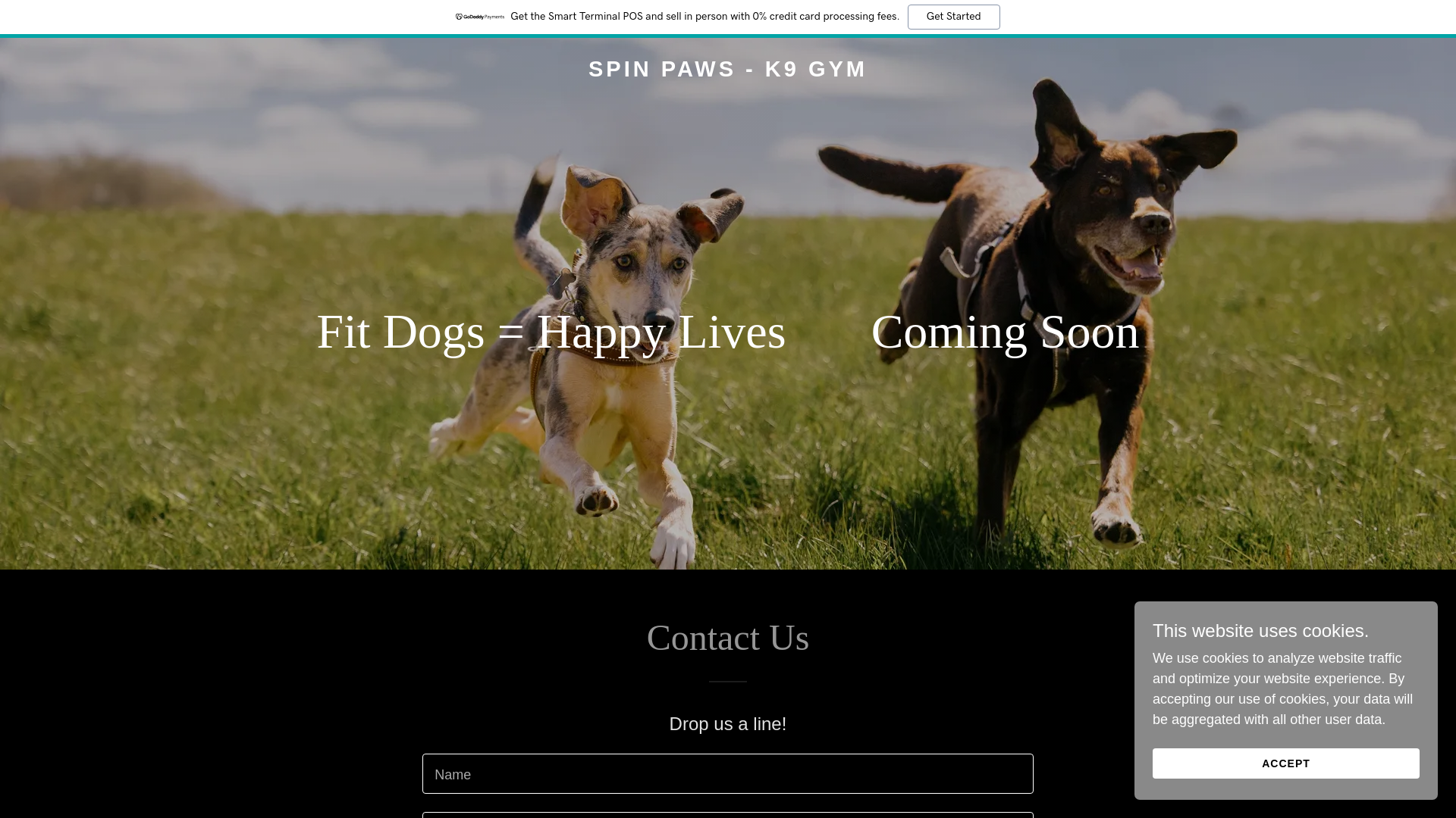 website screenshot of https://spinpaws.com.au/