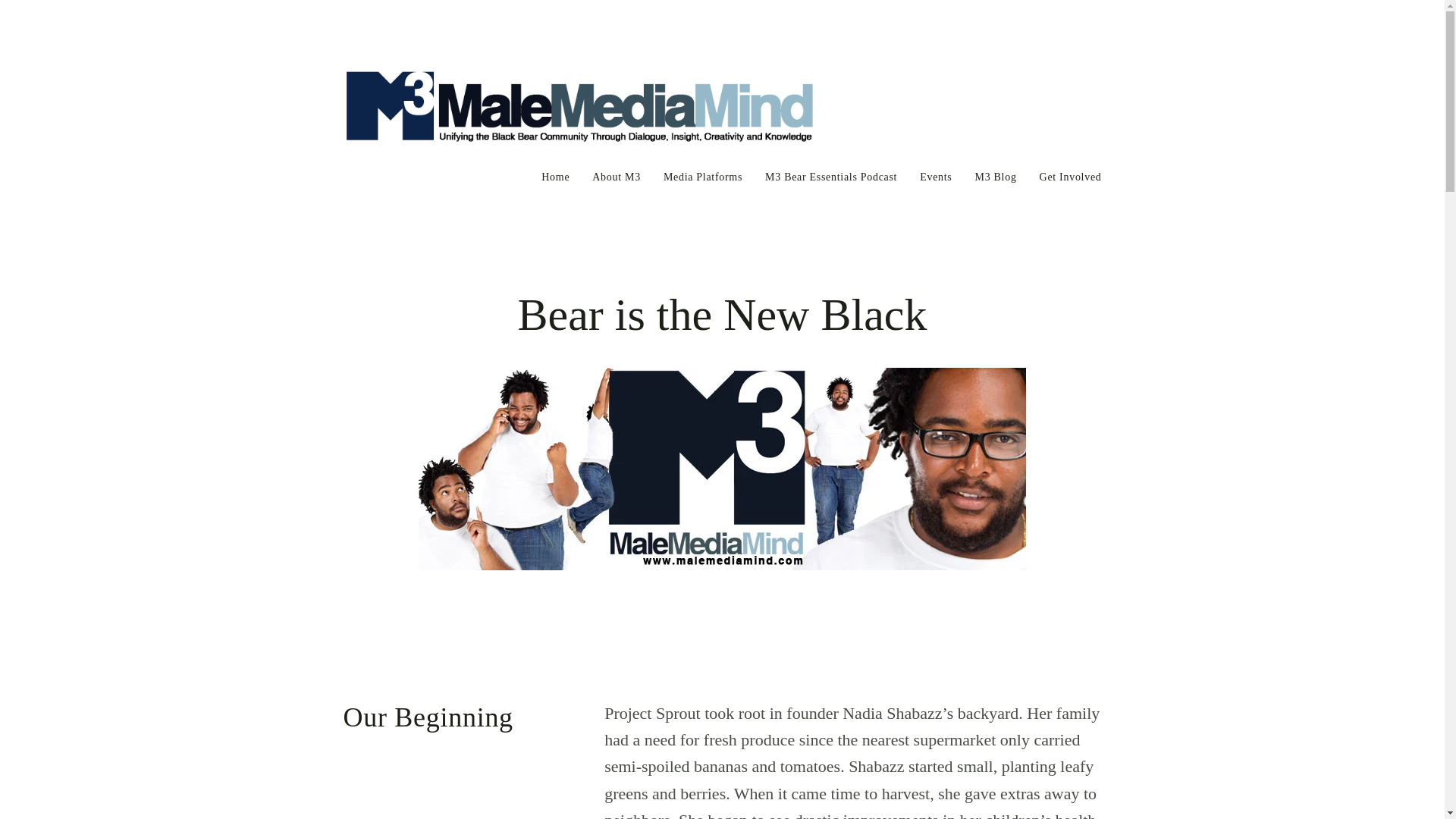 website screenshot of https://malemediamindlive.com/