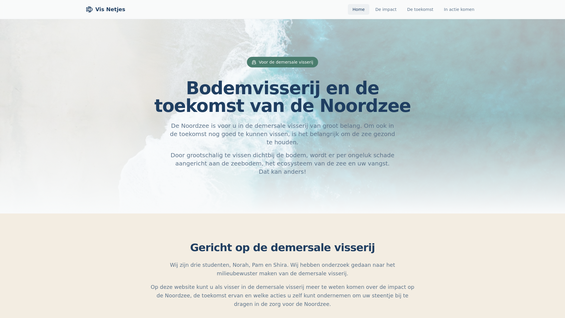 website screenshot of https://visnetjes.nl