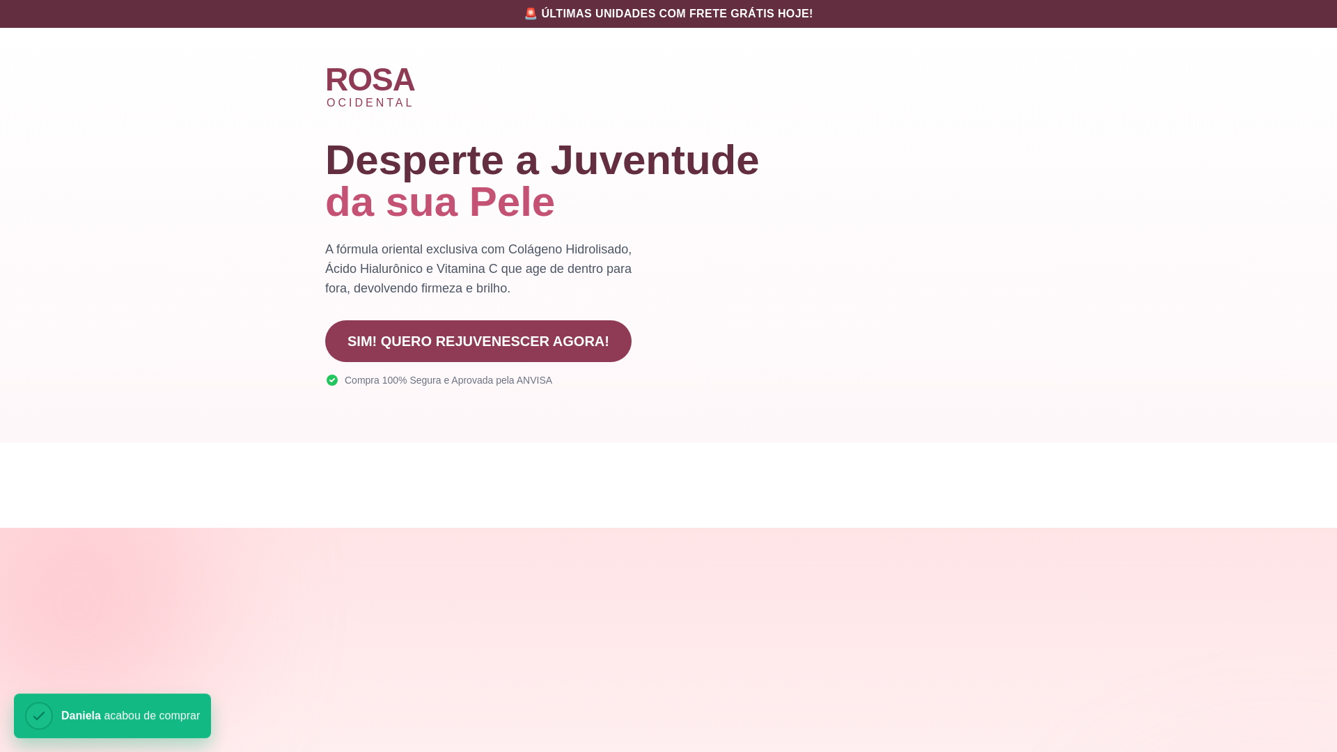 website screenshot of https://rosaocidental.com.br