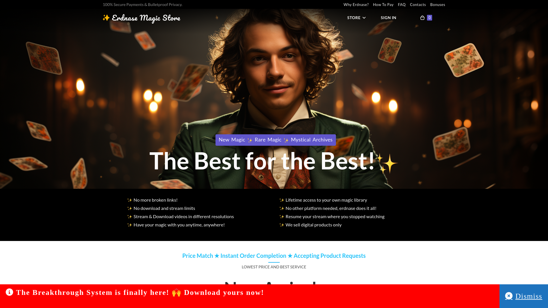 website screenshot of https://erdnasemagicstore.fi/