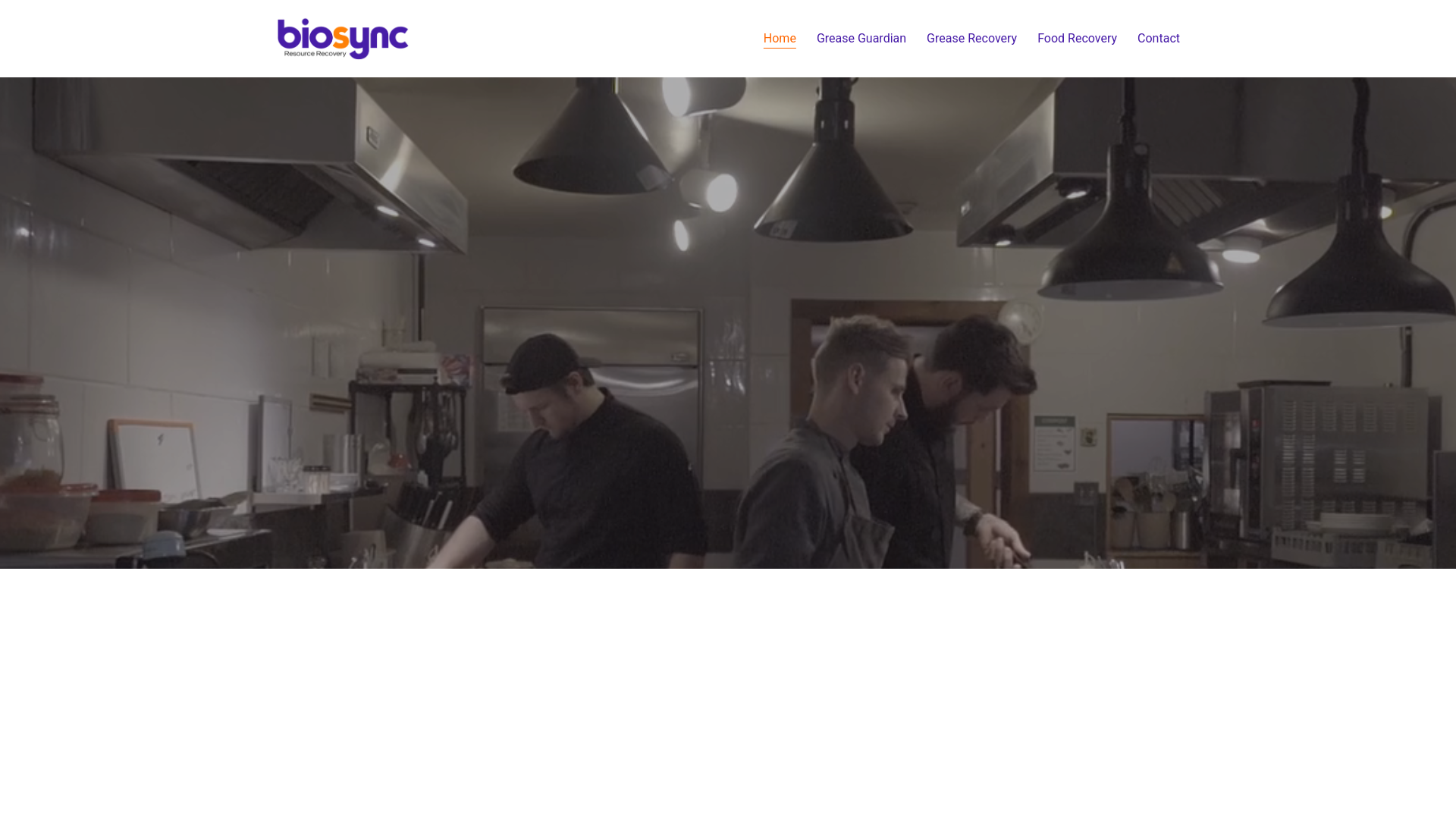 website screenshot of https://biosyncrecovery.ca/