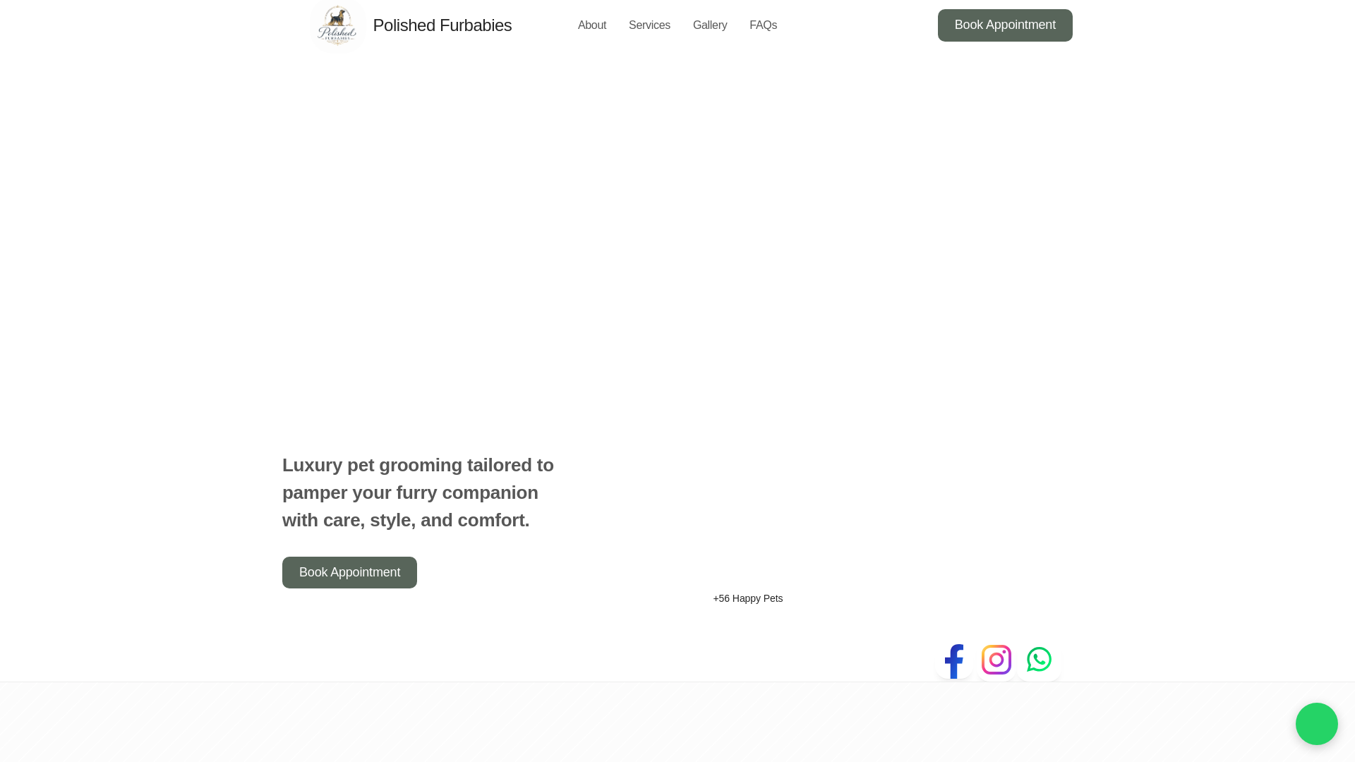website screenshot of https://polishedfurbabies.co.za