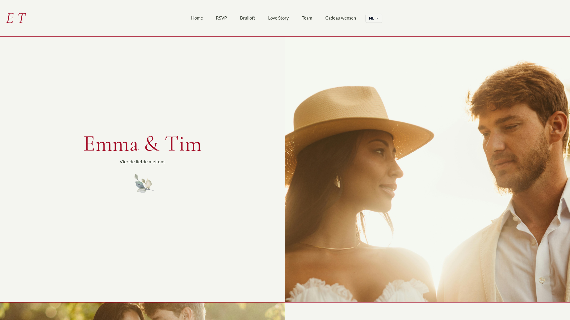 website screenshot of https://ditistweetest.nl/