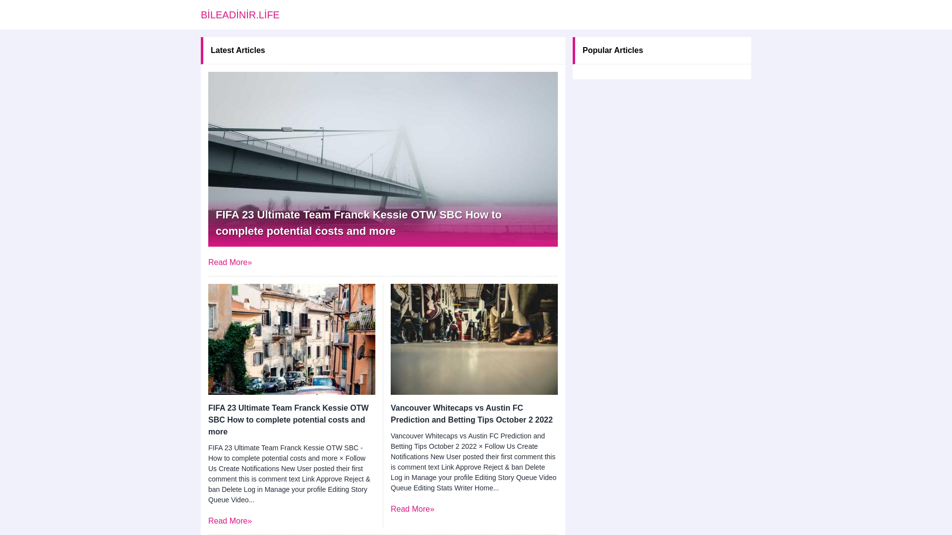 website screenshot of https://bileadinir.life/