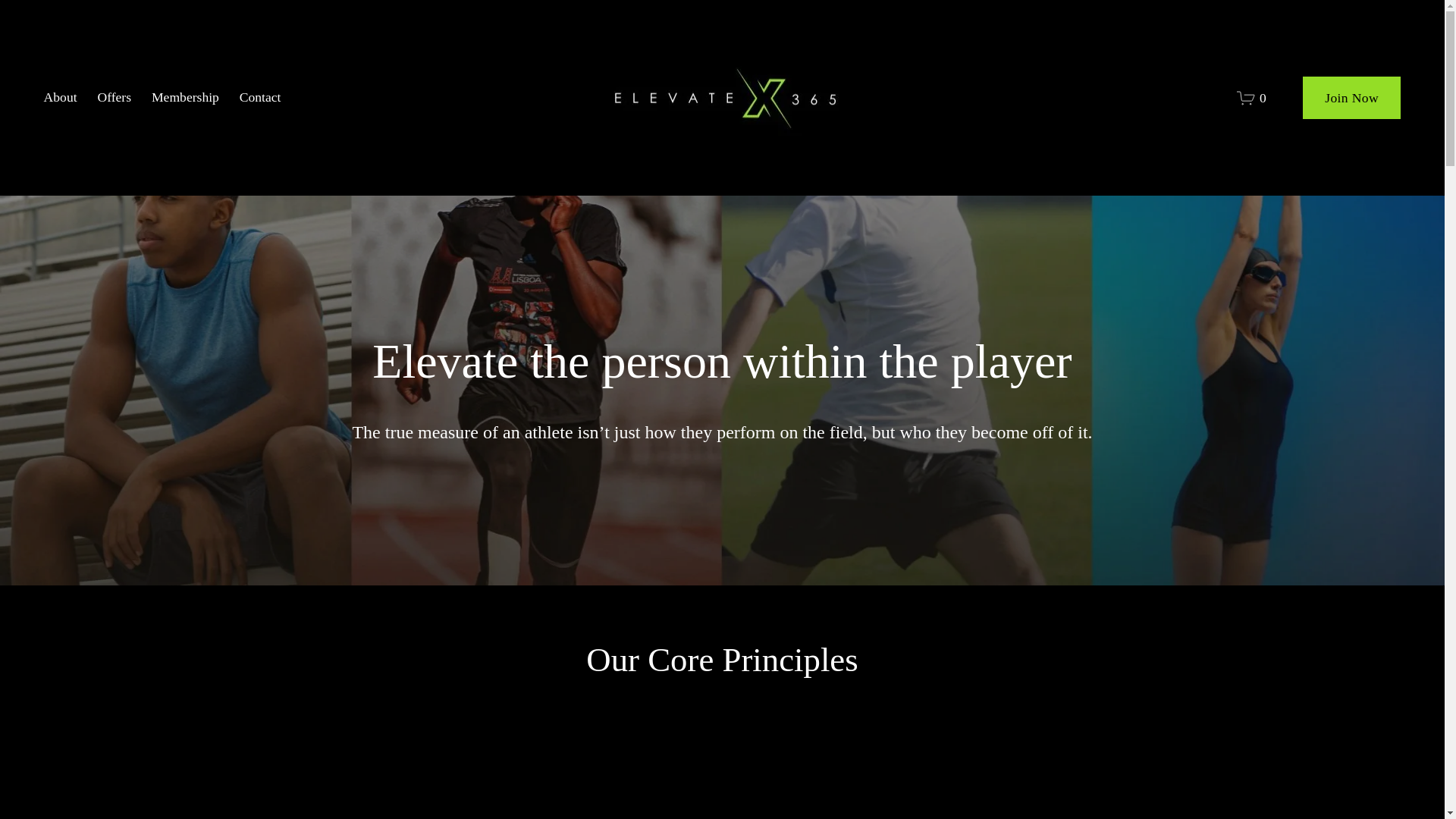 website screenshot of https://elevatex365.com/