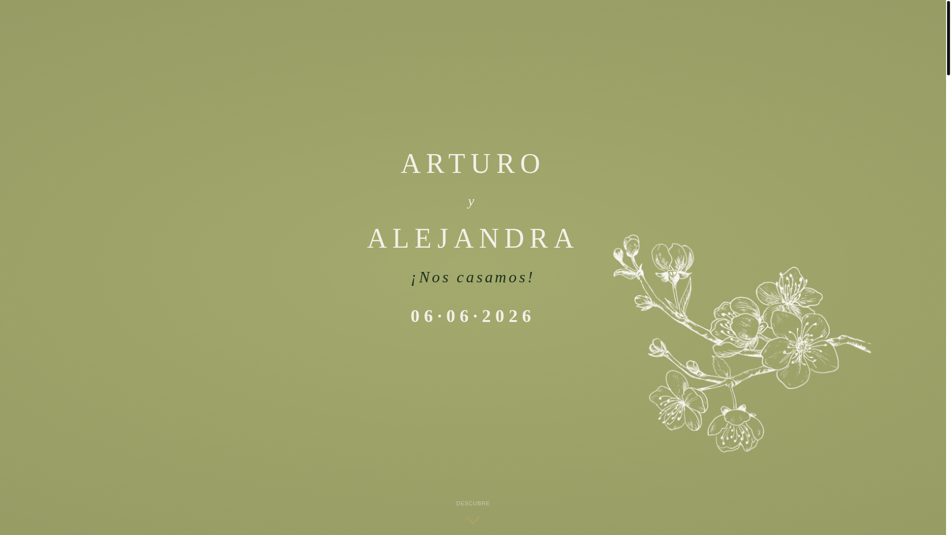 website screenshot of https://arturoyalejandra.es/