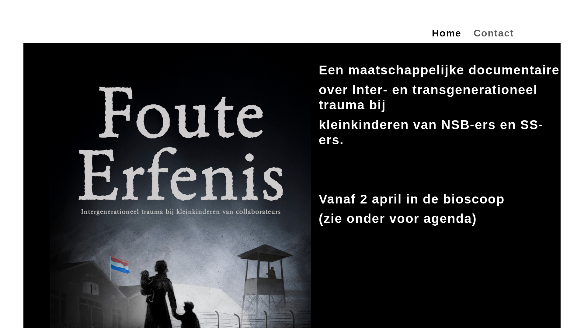 website screenshot of https://fouteerfenis.nl/