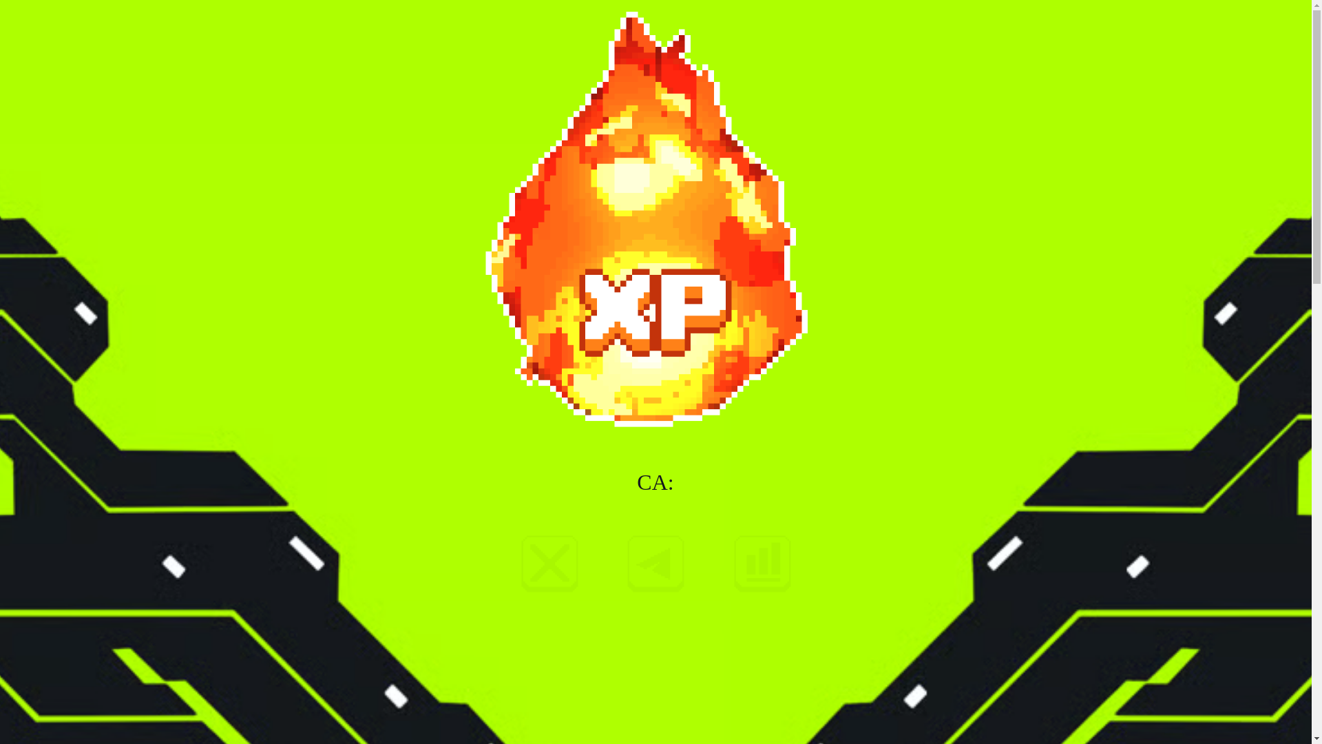 website screenshot of https://xpcto.xyz/