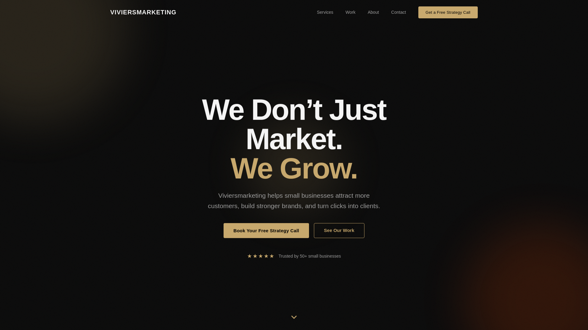 website screenshot of https://viviersmarketing.com