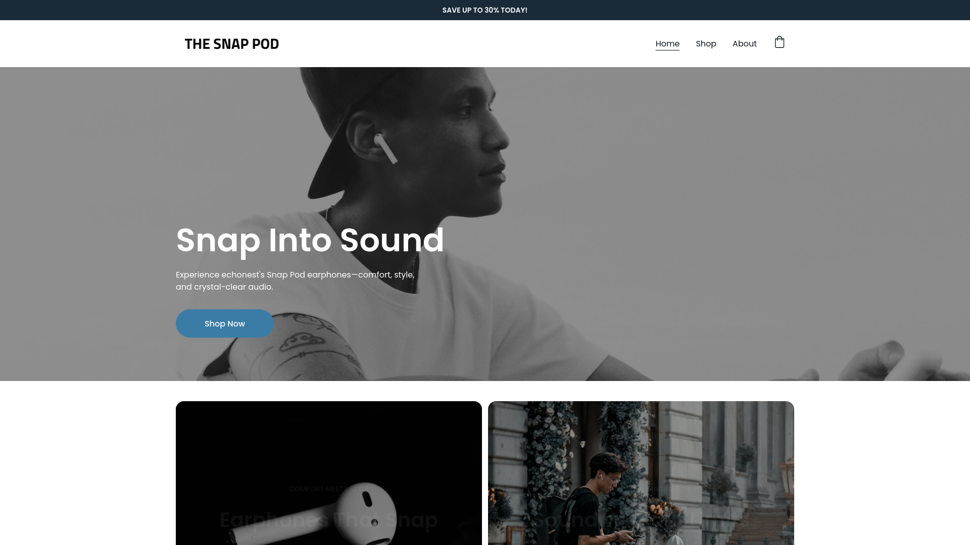 website screenshot of https://thesnappod.com