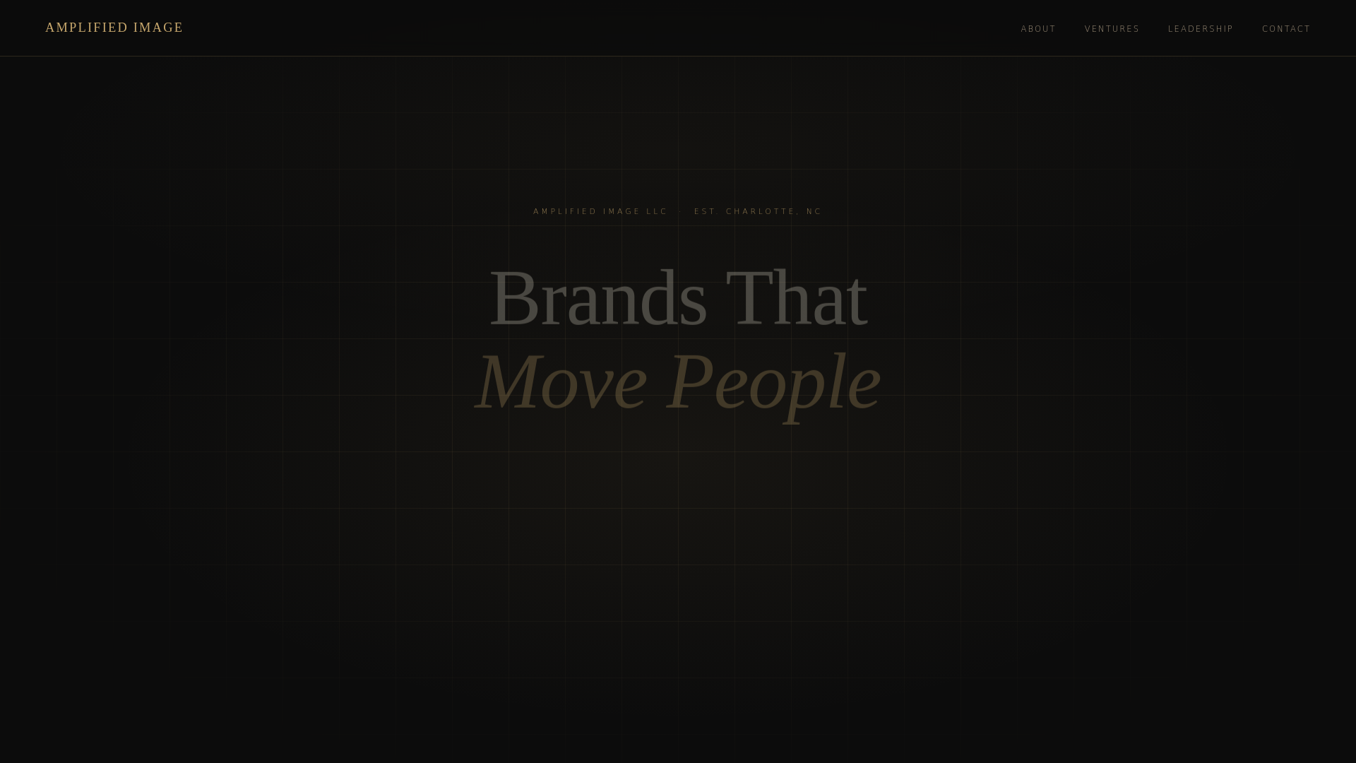 website screenshot of https://amplifiedimagebrands.com/