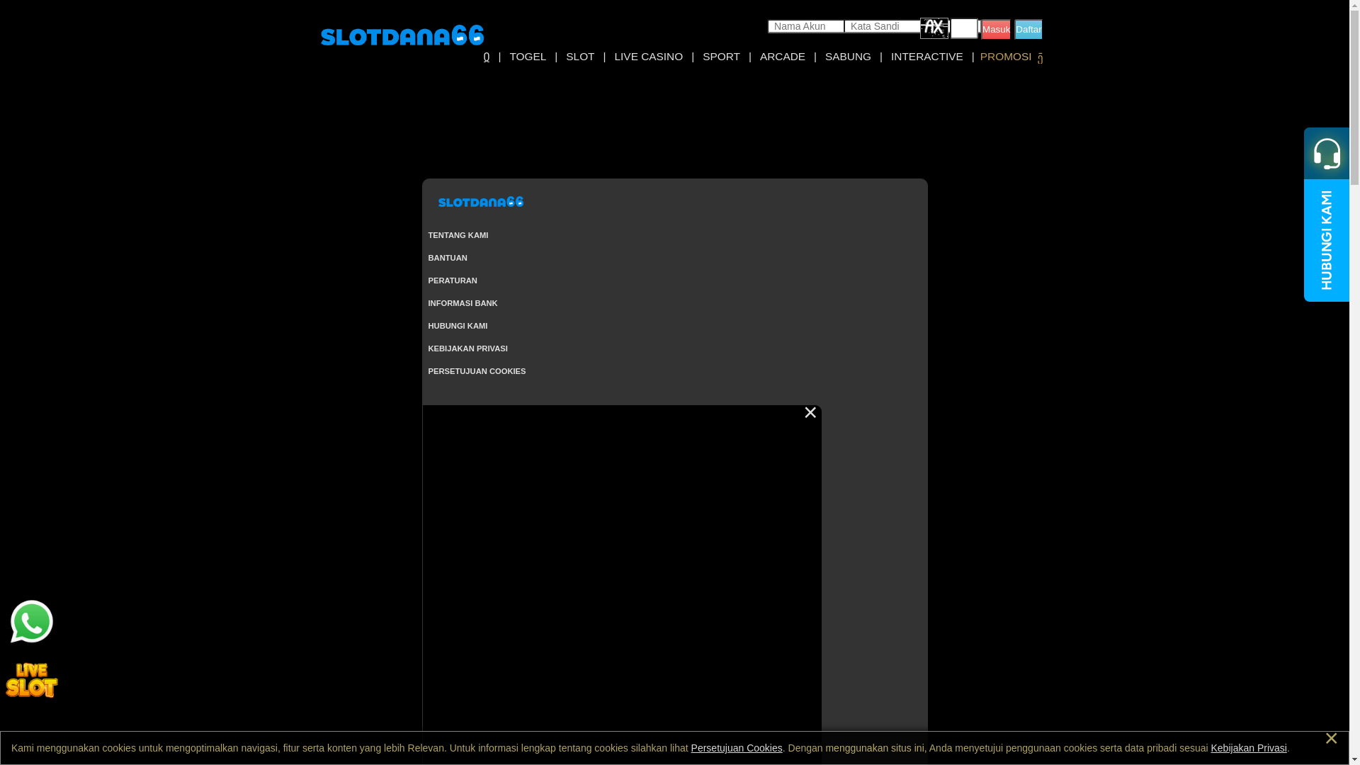 website screenshot of https://slotdana66gokil.com/