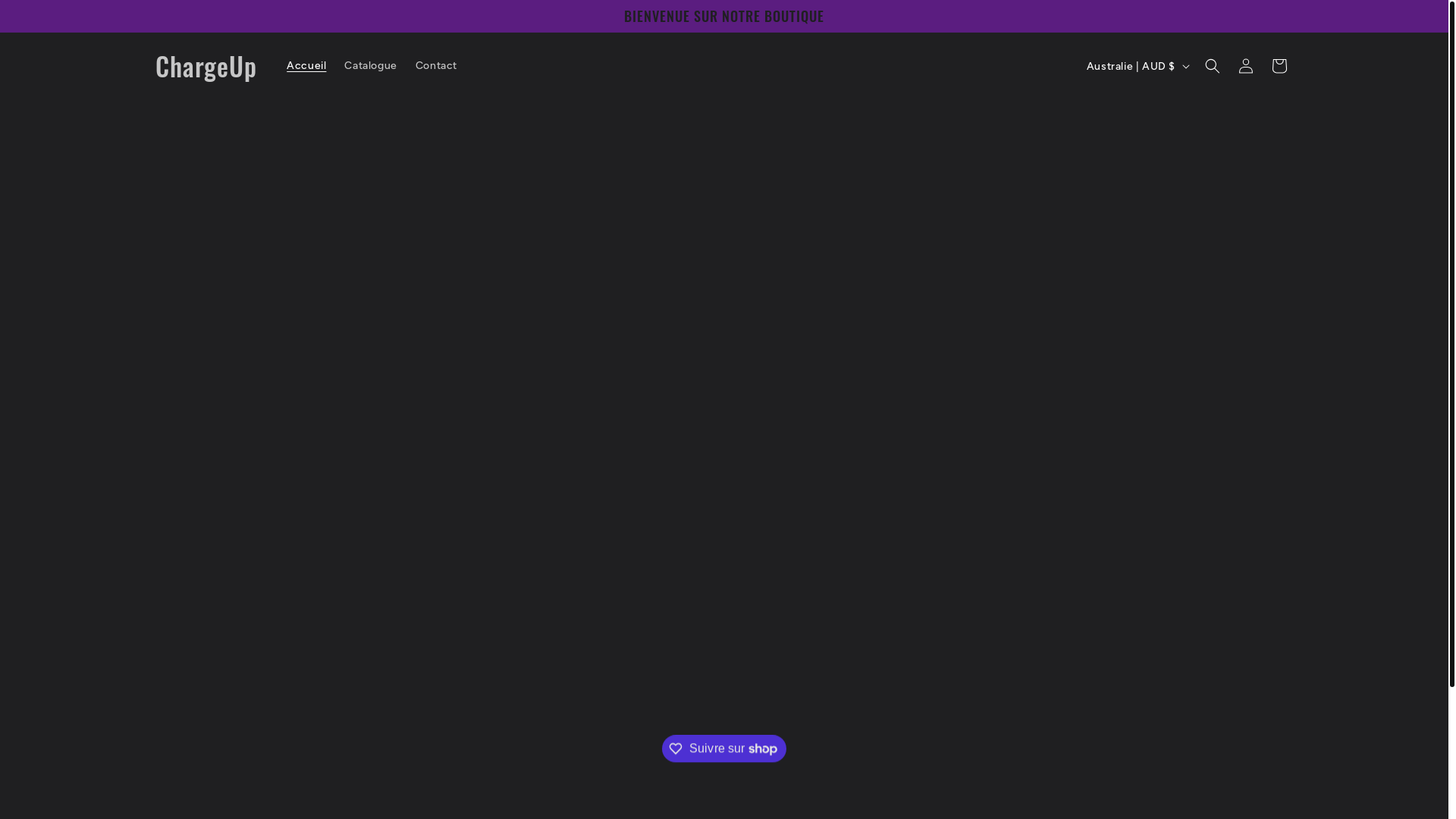 website screenshot of https://chargeurmini.com/