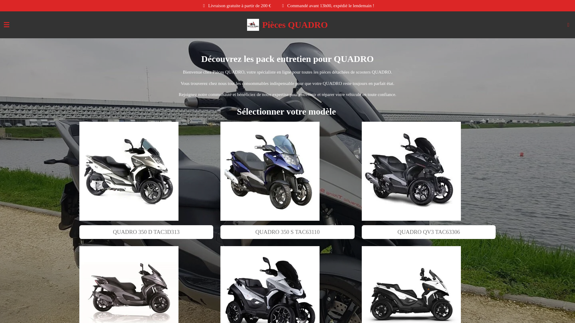 website screenshot of https://pieces-quadro.com/