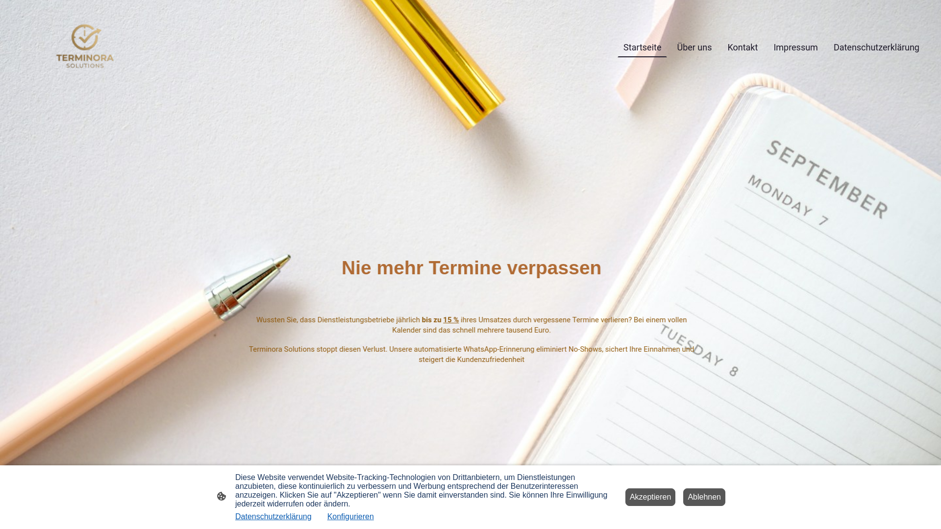 website screenshot of https://terminora-solutions.de
