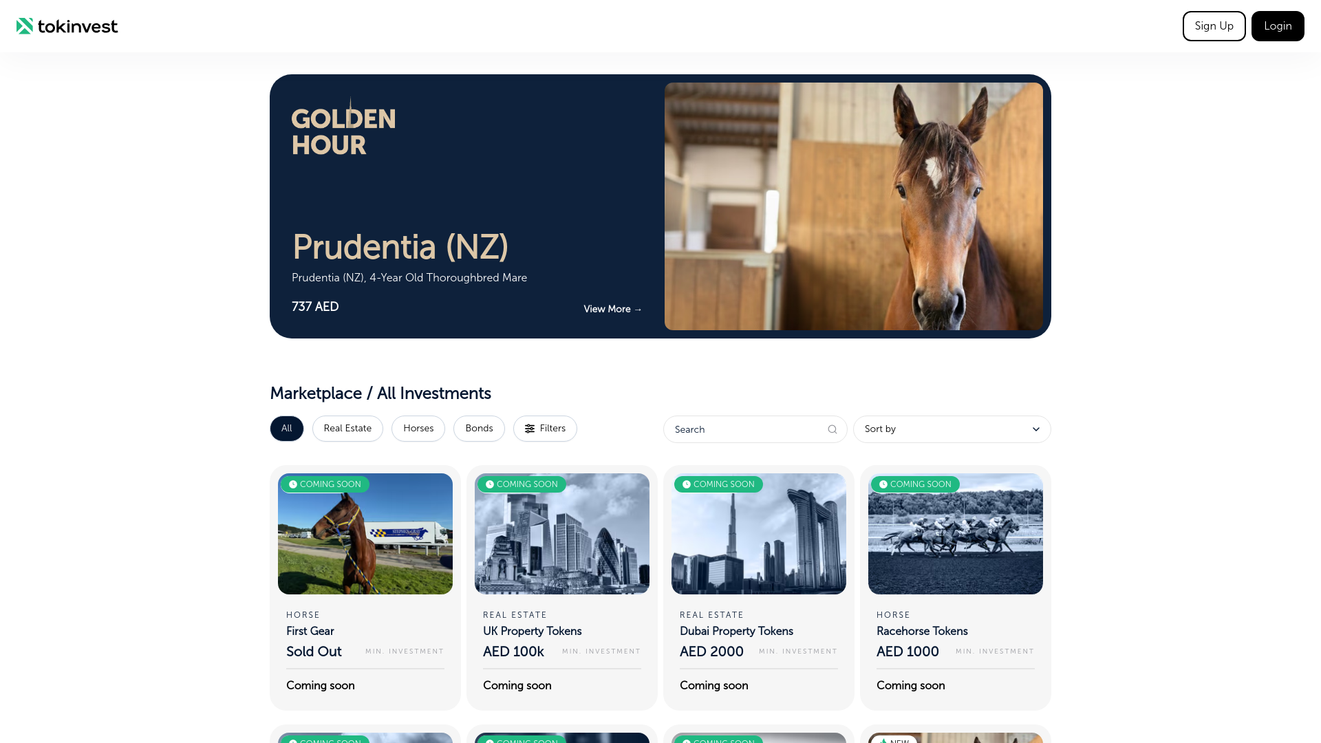 website screenshot of https://portal.tokinvest.capital/