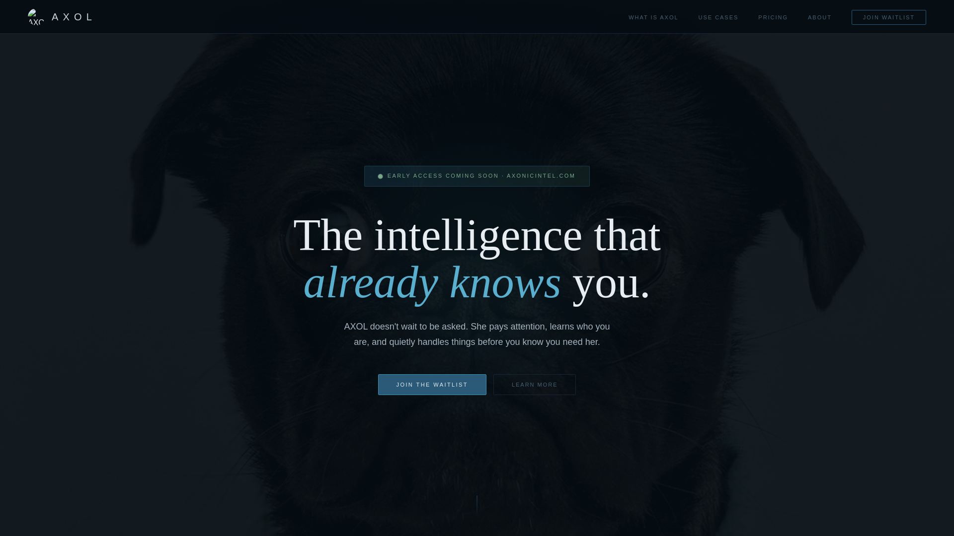 website screenshot of https://axonicintel.pages.dev/