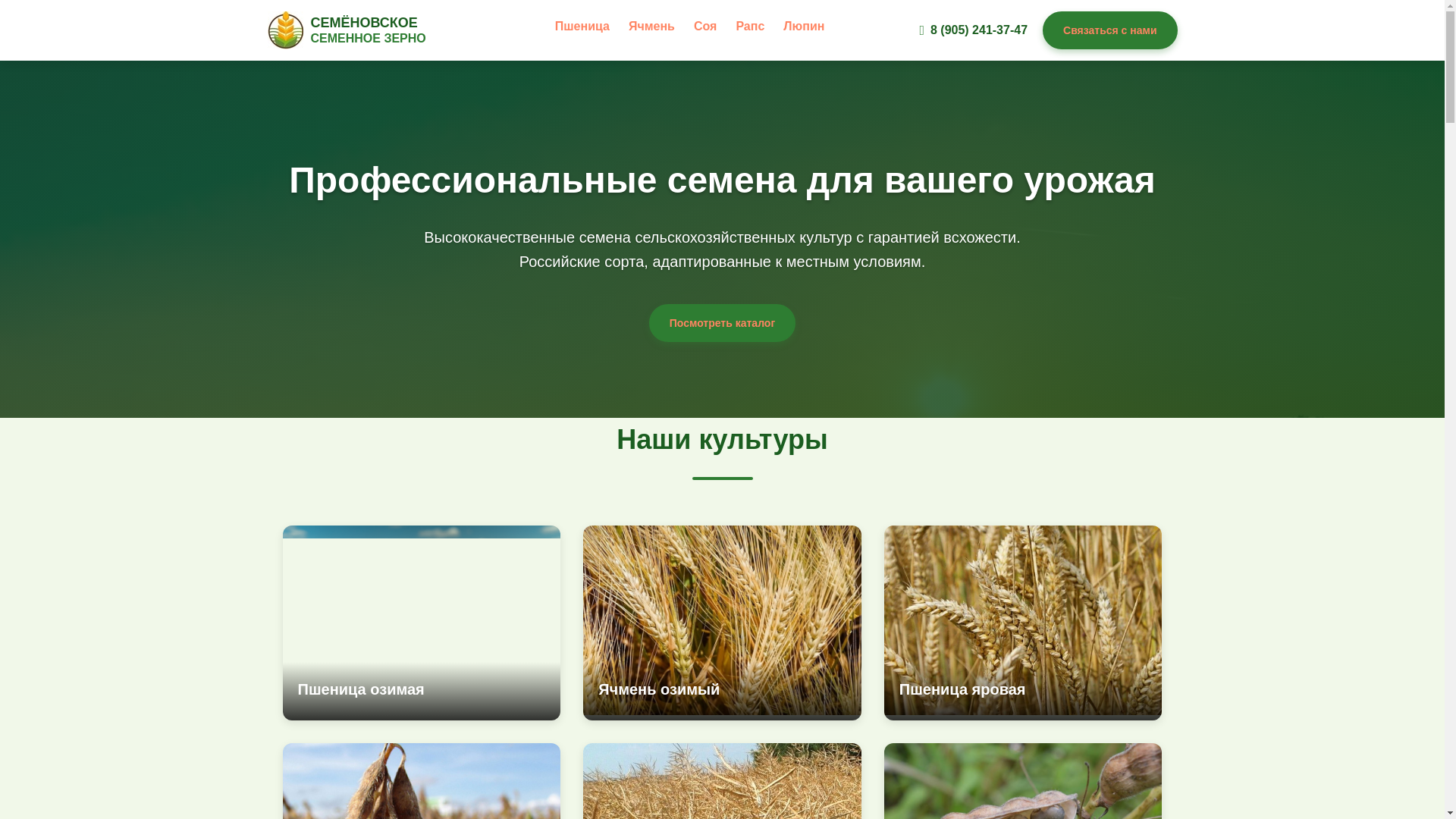 website screenshot of https://semenovo-grain.ru/