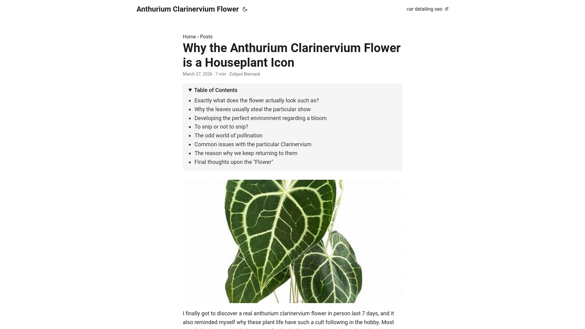 website screenshot of https://anthurium-clarinervium-flower.pages.dev/