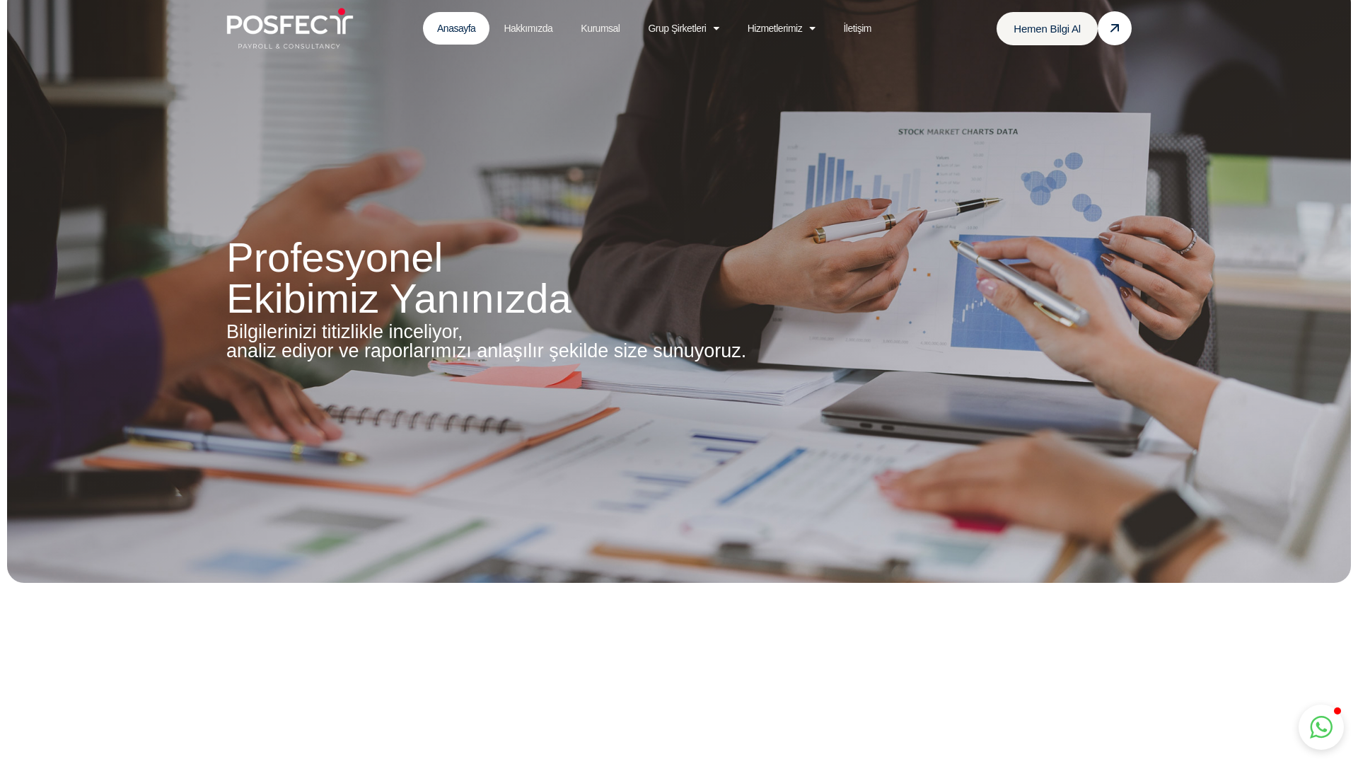 website screenshot of https://posfect.tr/