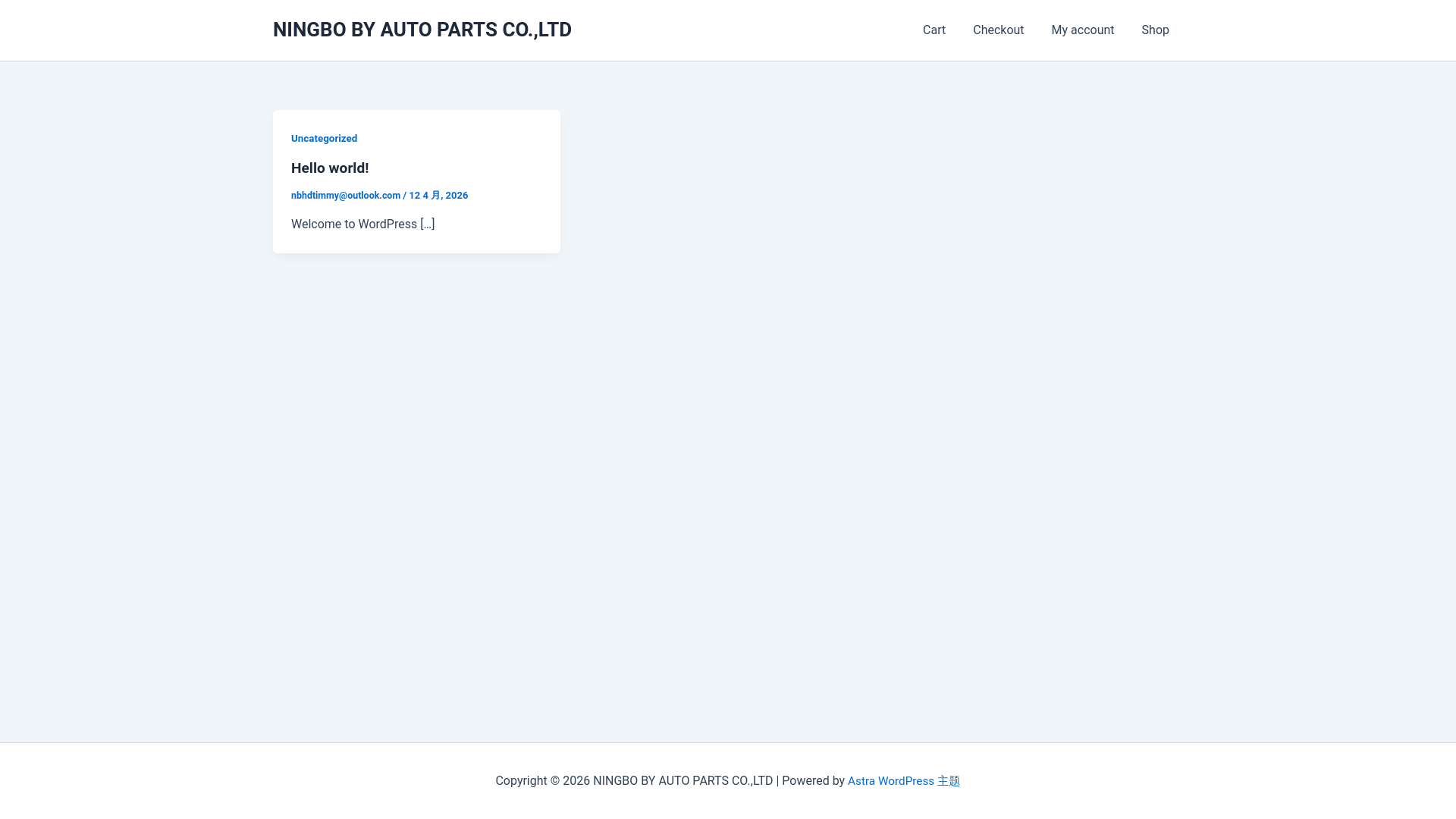 website screenshot of https://byautosiliconehose.com/