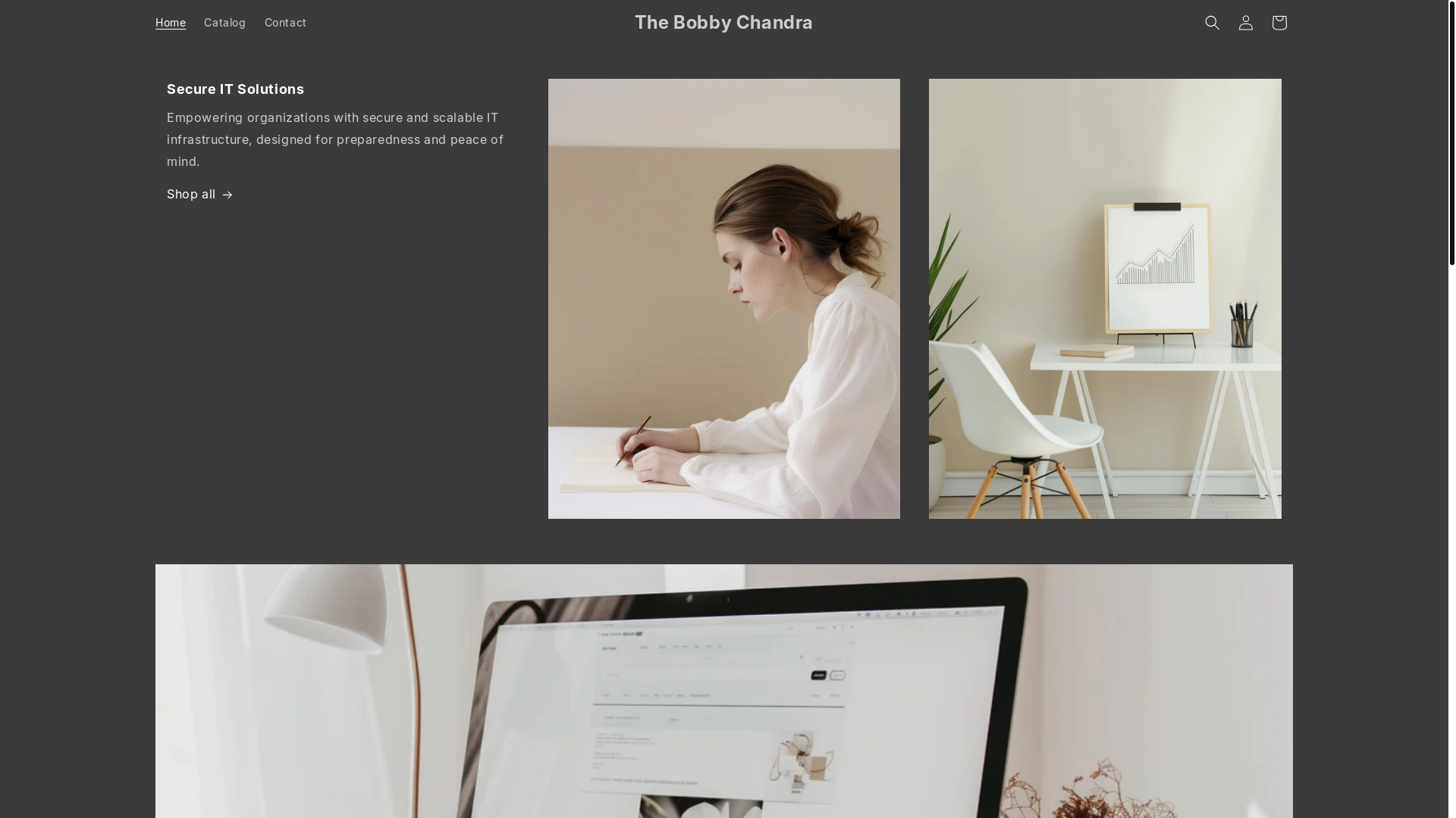 website screenshot of https://thebobbychandra.pro/