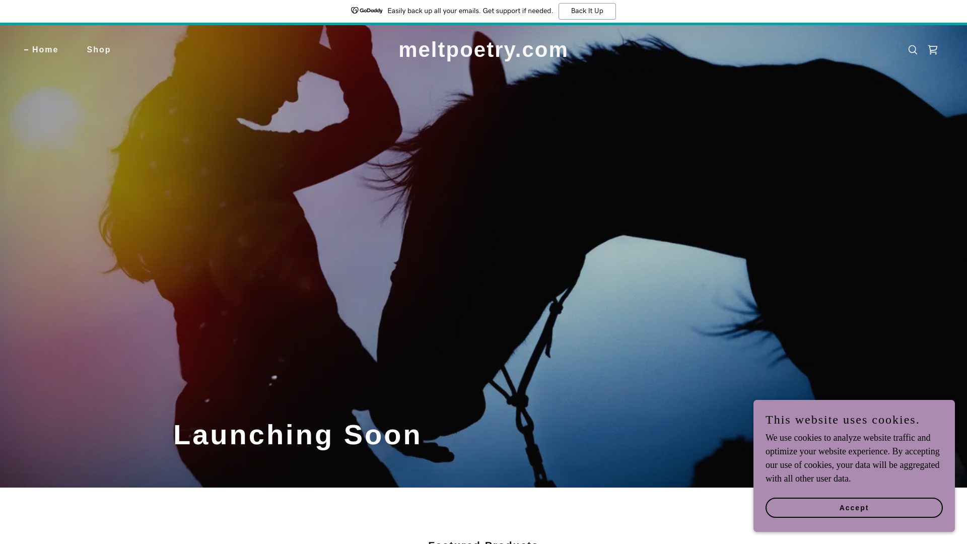 website screenshot of https://meltpoetry.com/