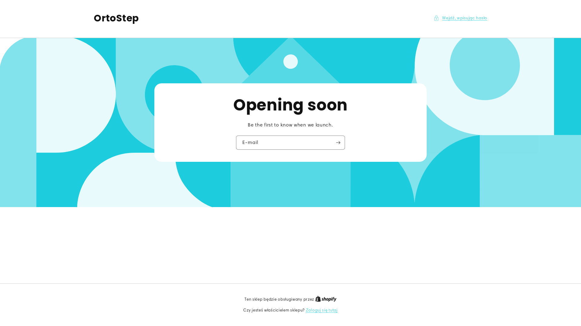 website screenshot of https://ortostep.pl/