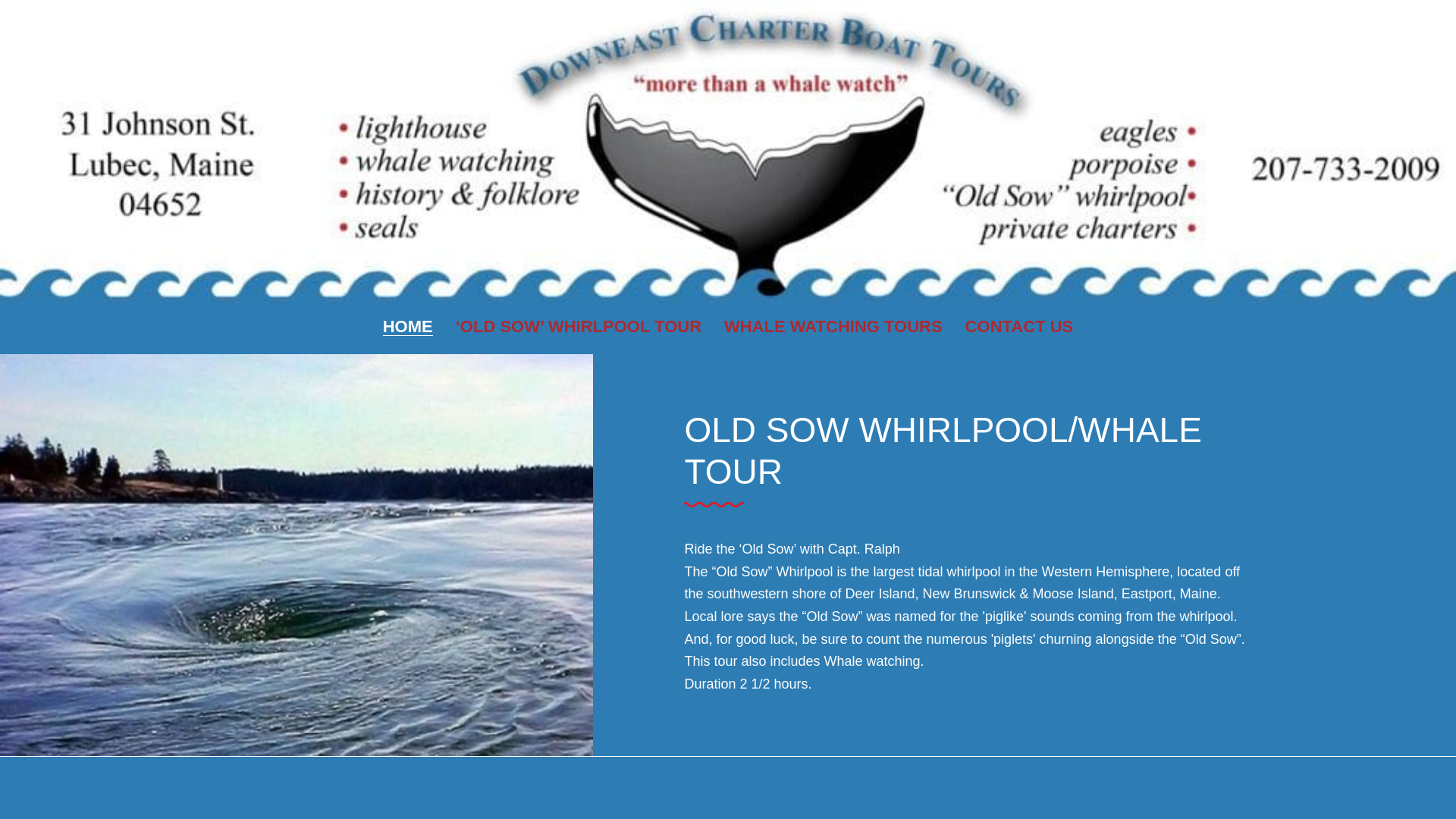 website screenshot of https://downeastcharterboattours.info