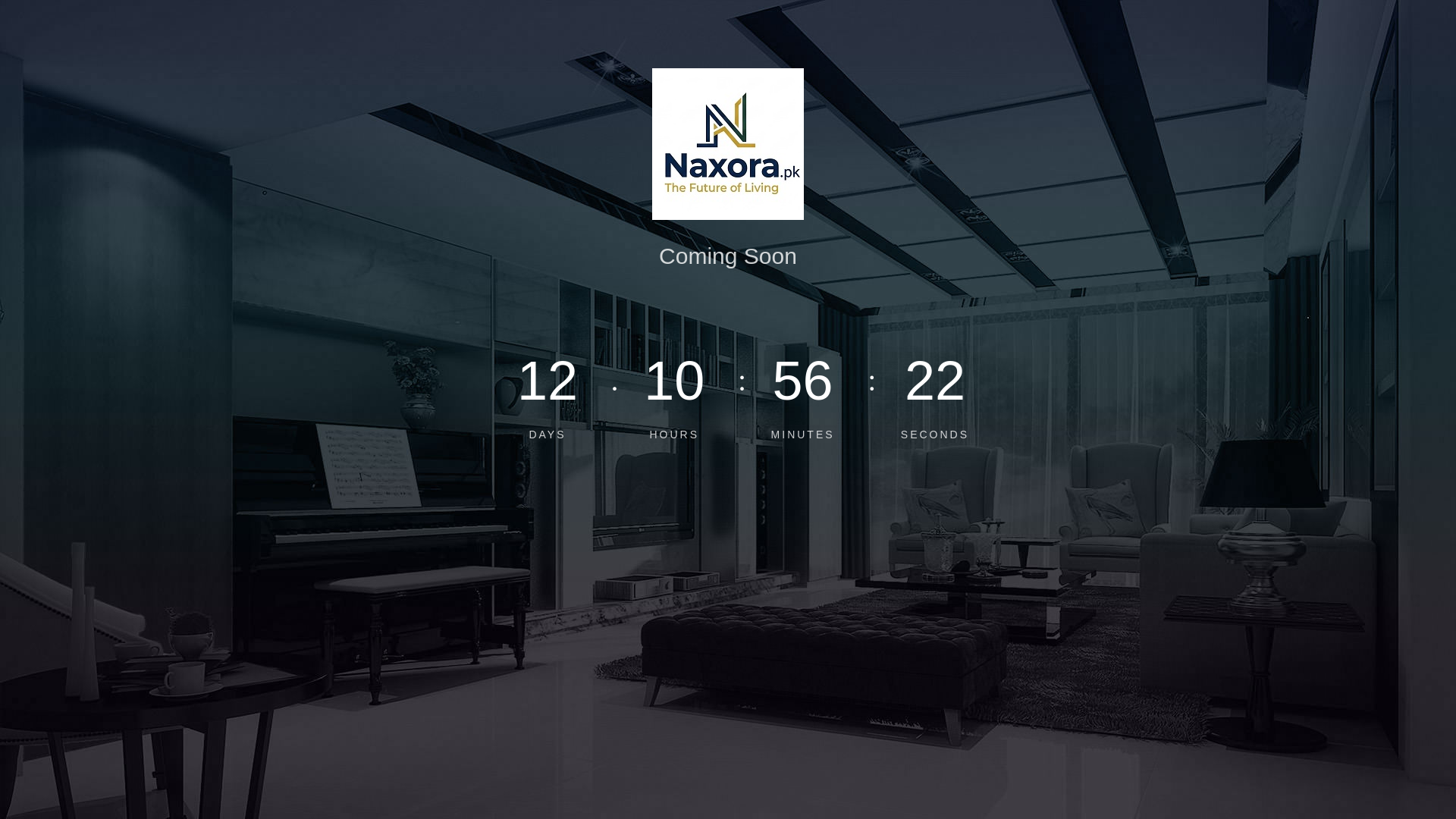 website screenshot of https://naxora.pk/