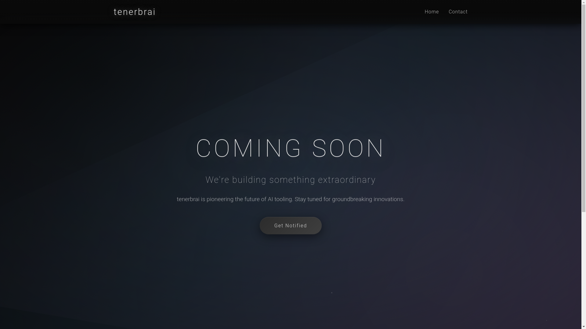 website screenshot of https://tenebr.ai/