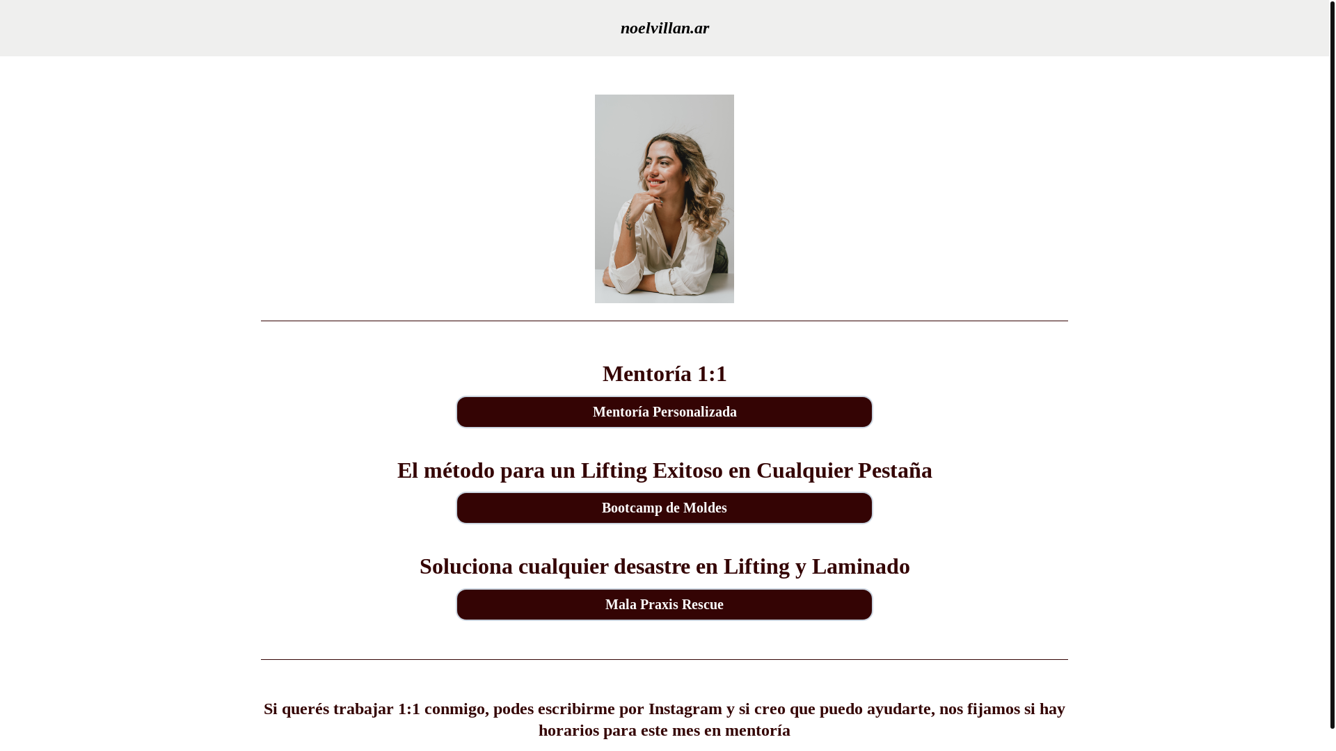 website screenshot of https://noelvillan.site/