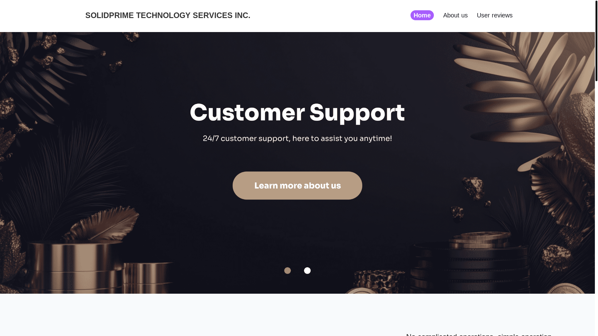website screenshot of https://solidprime-tech.com/